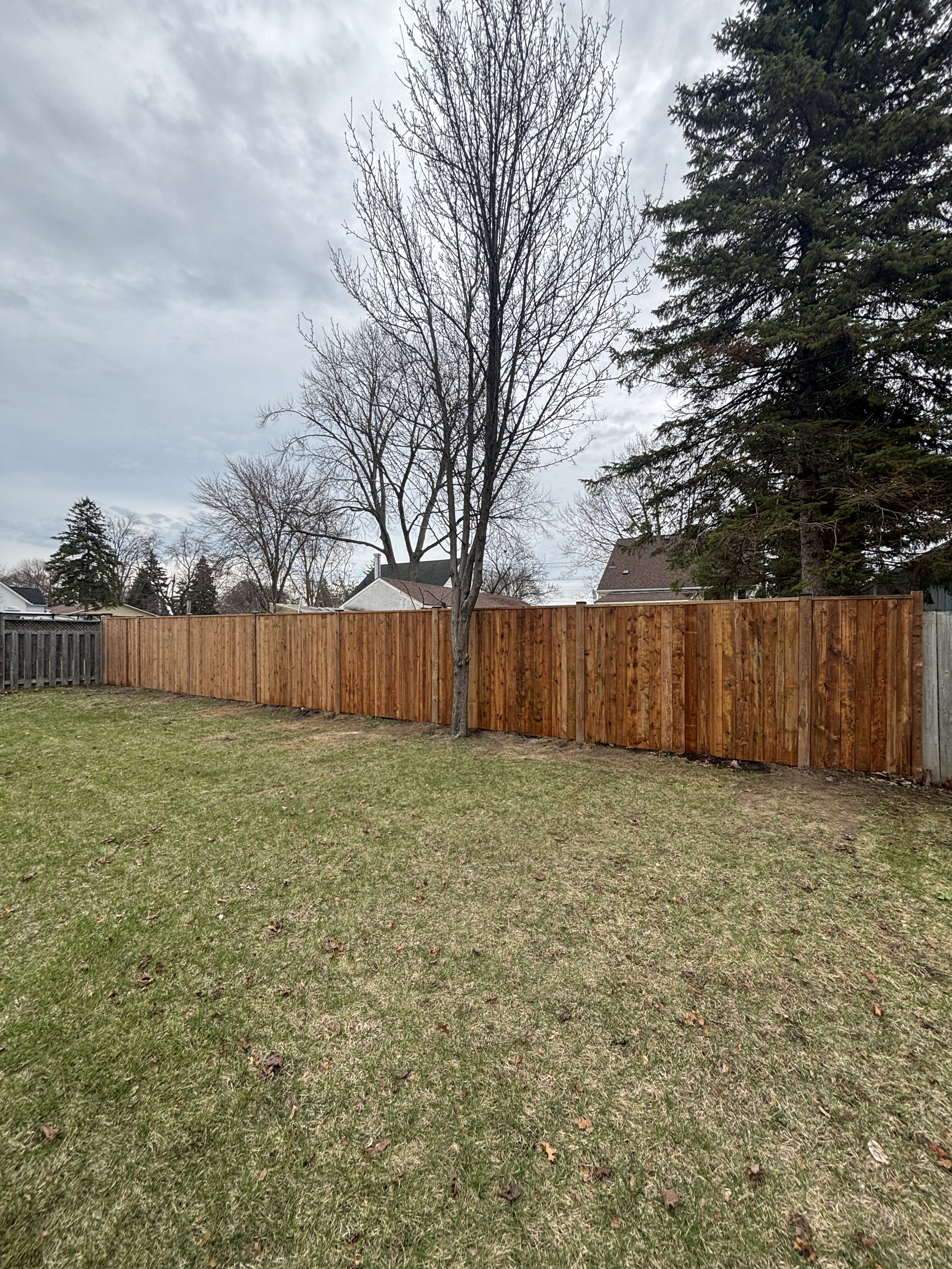 Untitled design (8).png