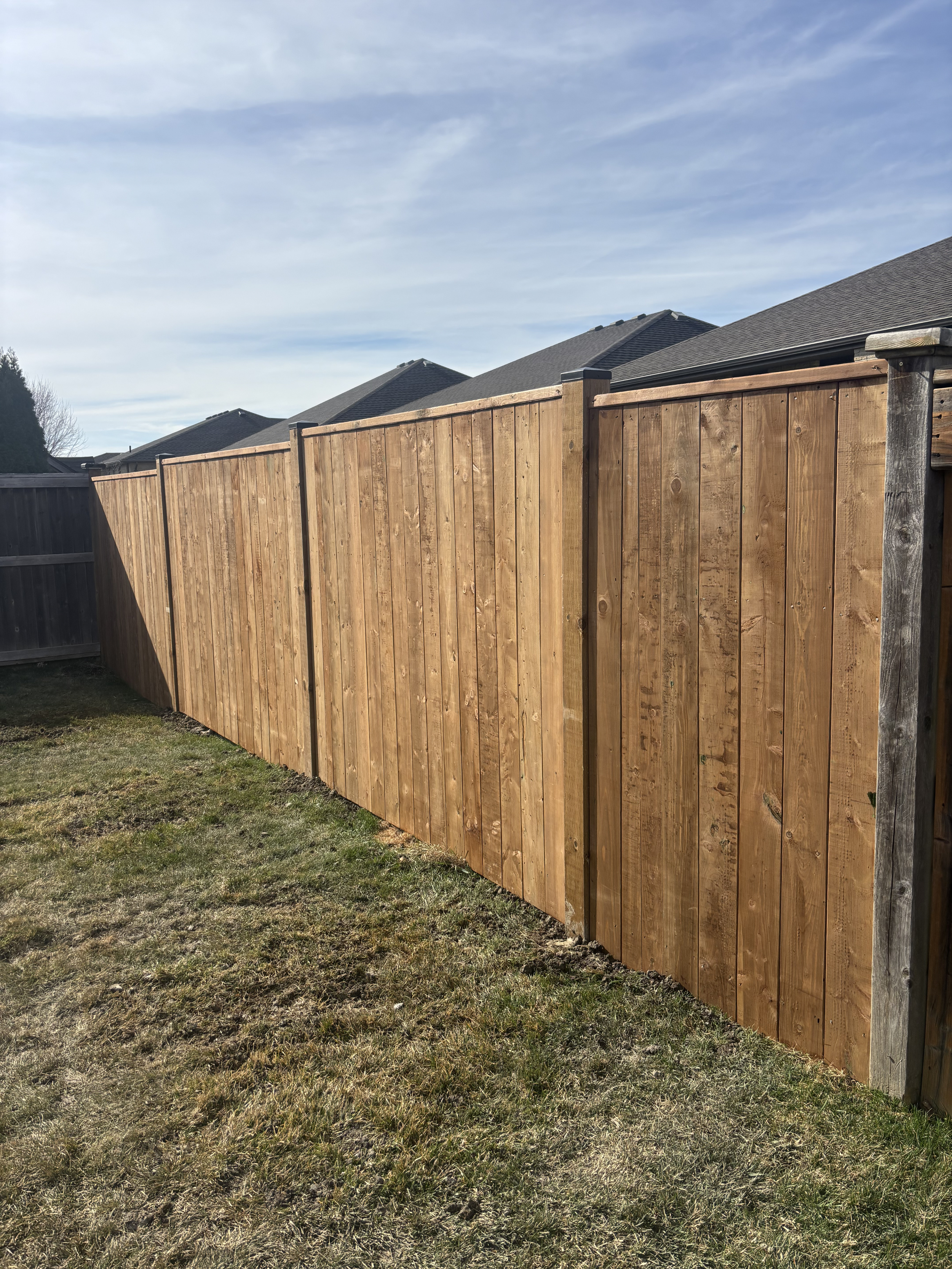 Untitled design (6).png