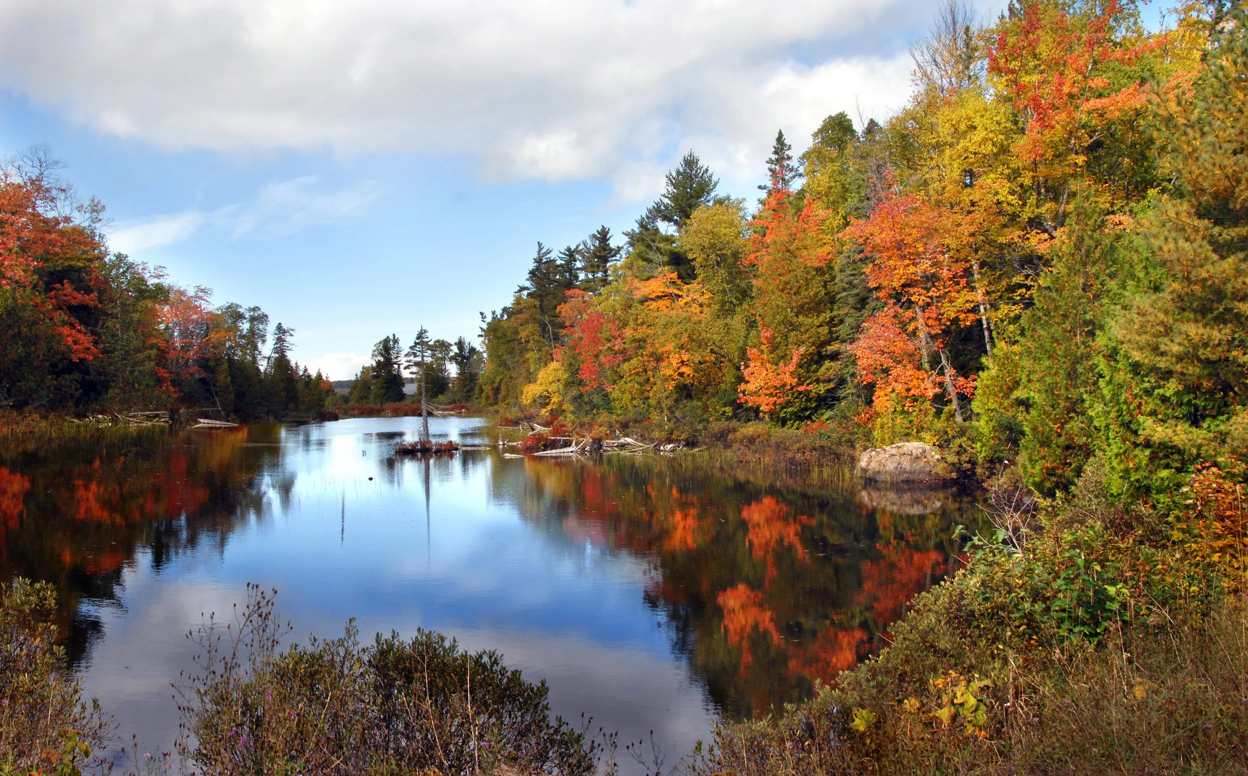 fall northern michigan.jpeg