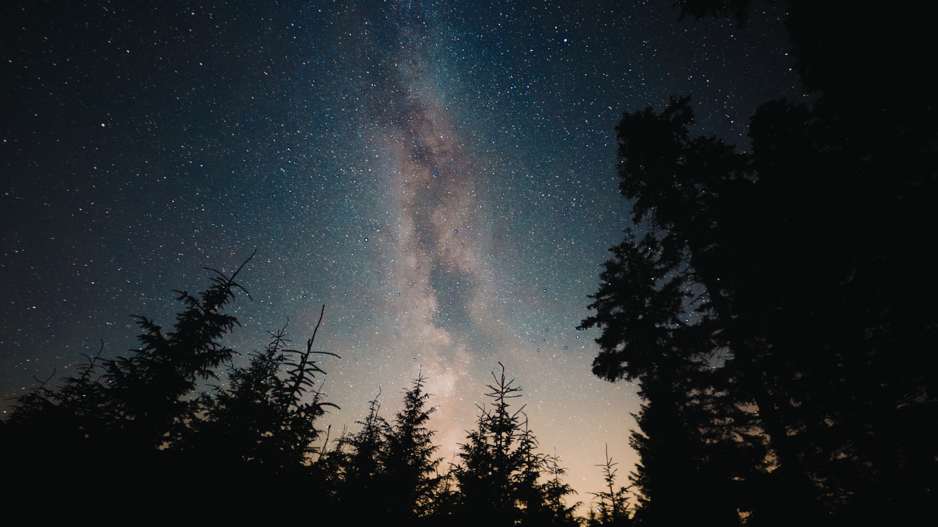 Milky Way galaxy glowing above silhouetted evergreen trees under a star-filled night sky