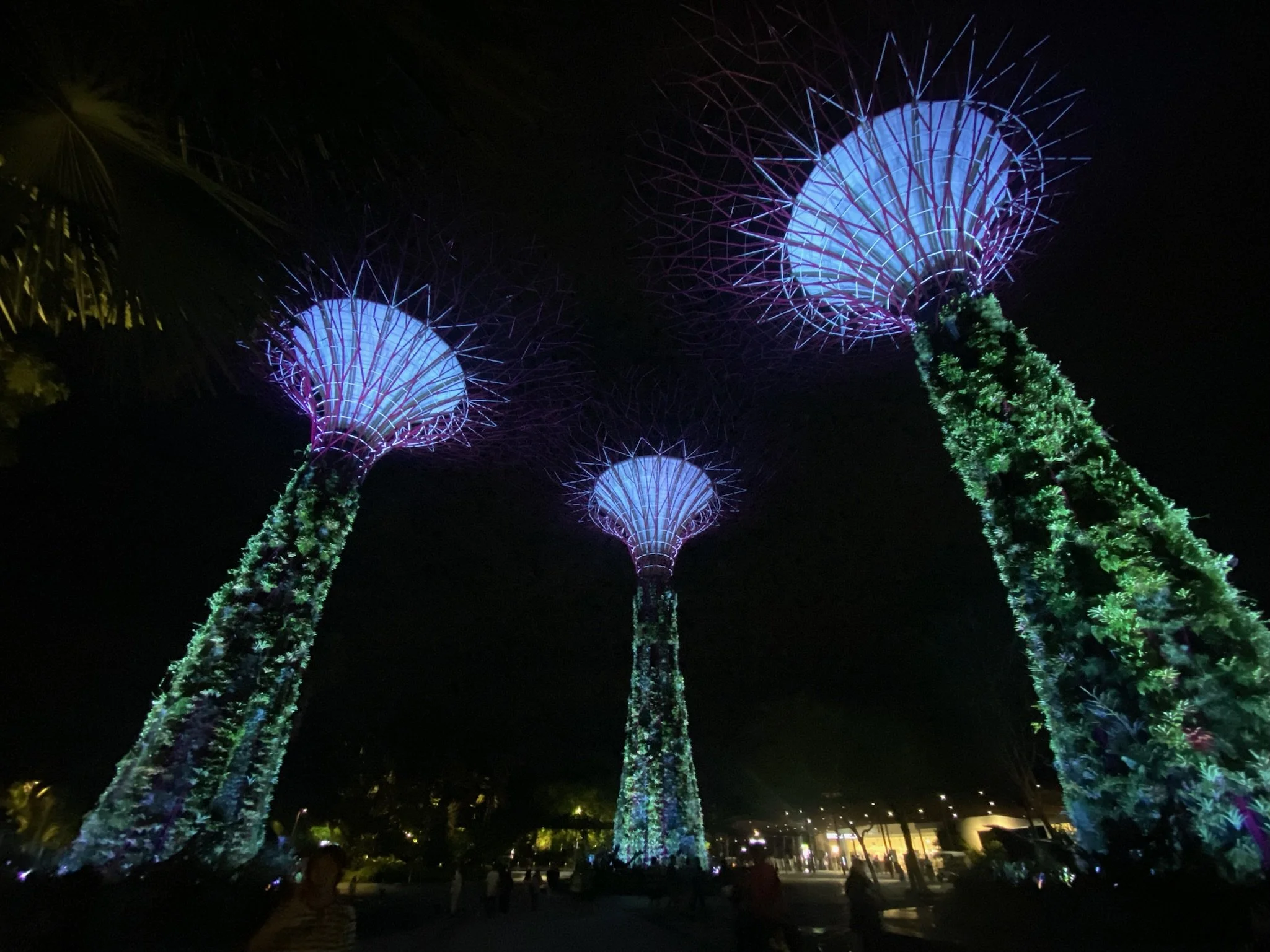 Night view of illuminated Supertree Grove at Gardens by the Bay in Singapore, featuring three tall vertical structures with colorful lights and intricate canopy designs.