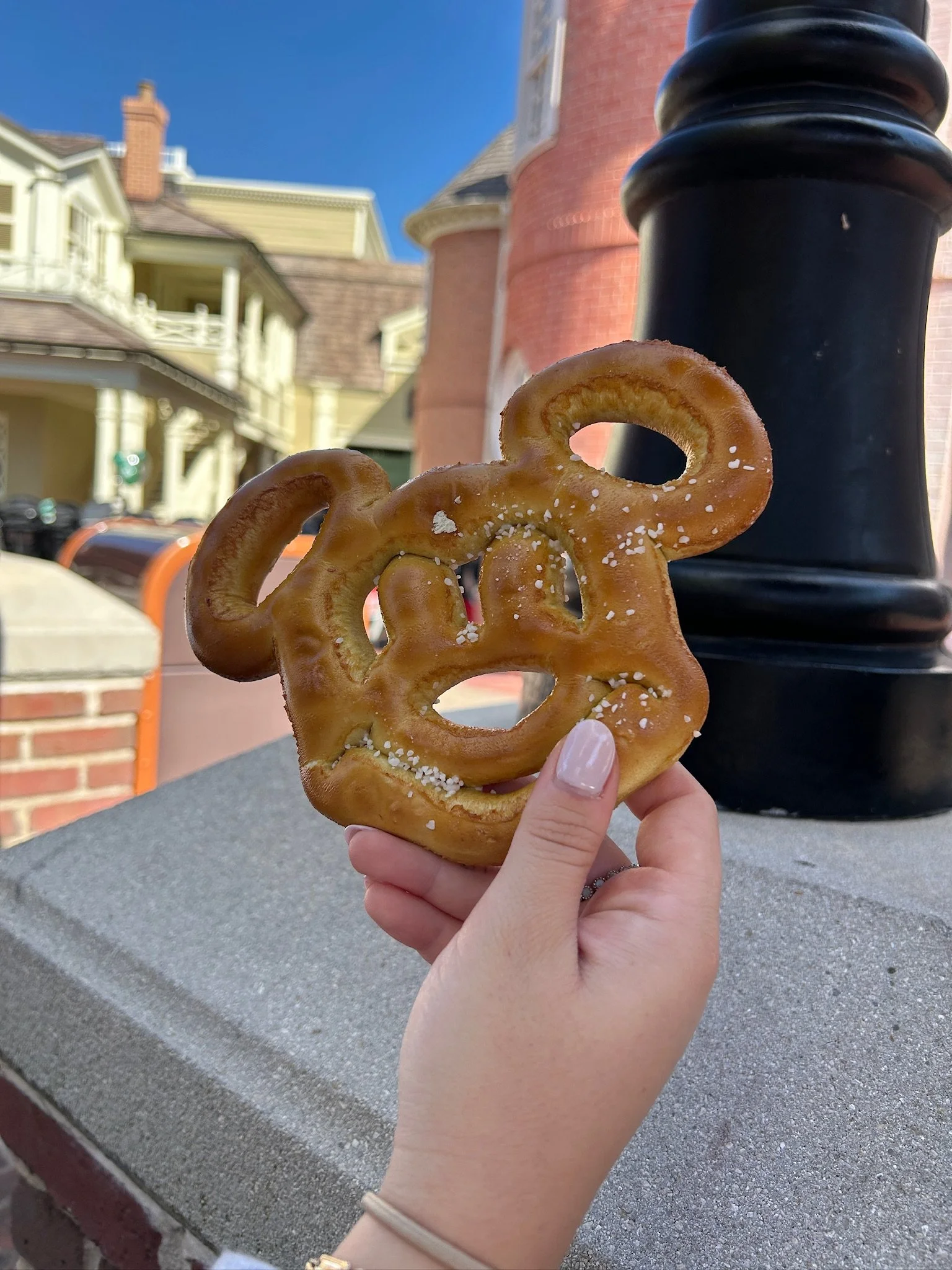 Person holding a pretzel cookie with salt, in front of houses and a blue sky.