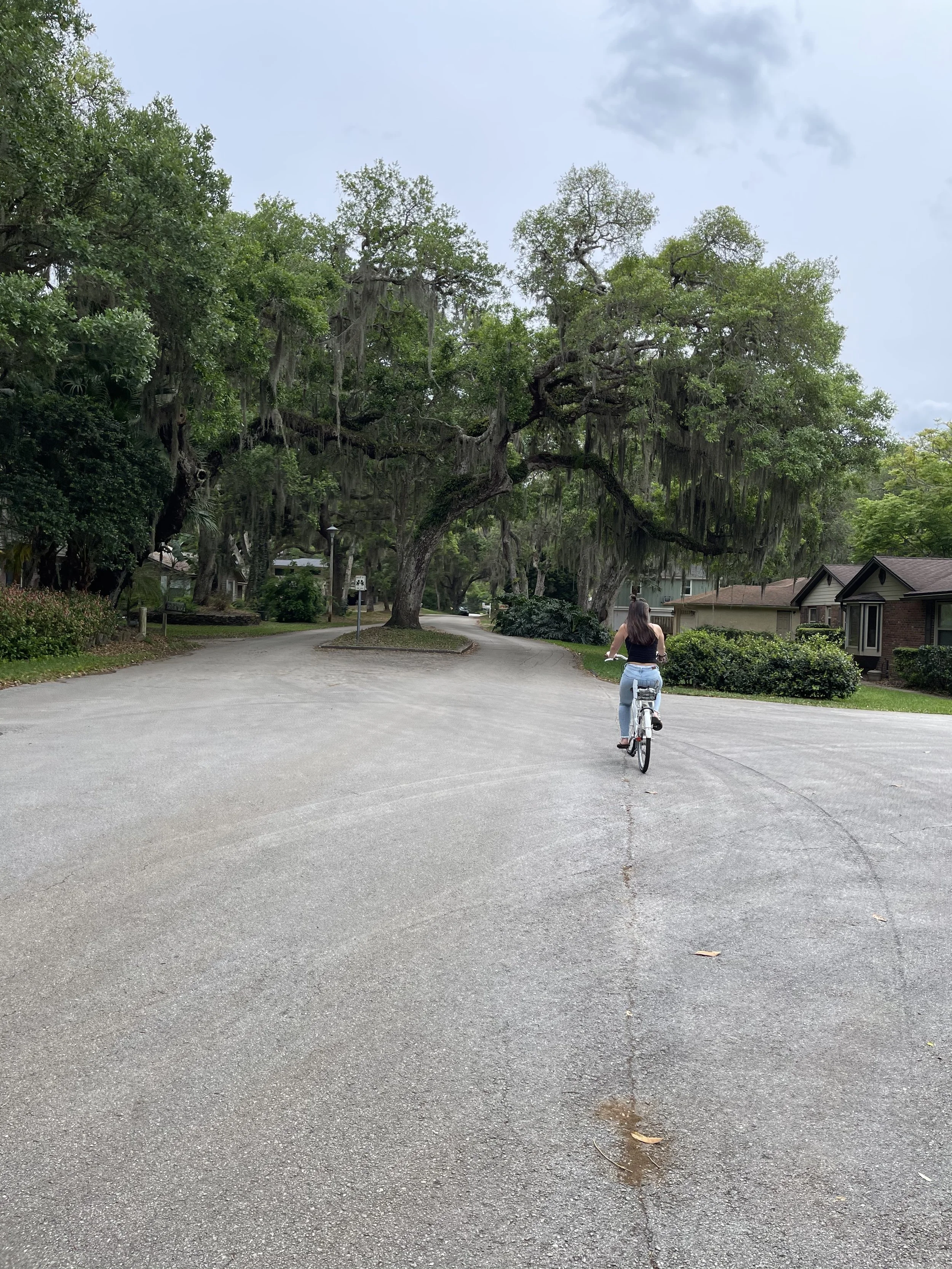 Person riding a bicycle along a paved residential street lined with large trees covered in Spanish moss.