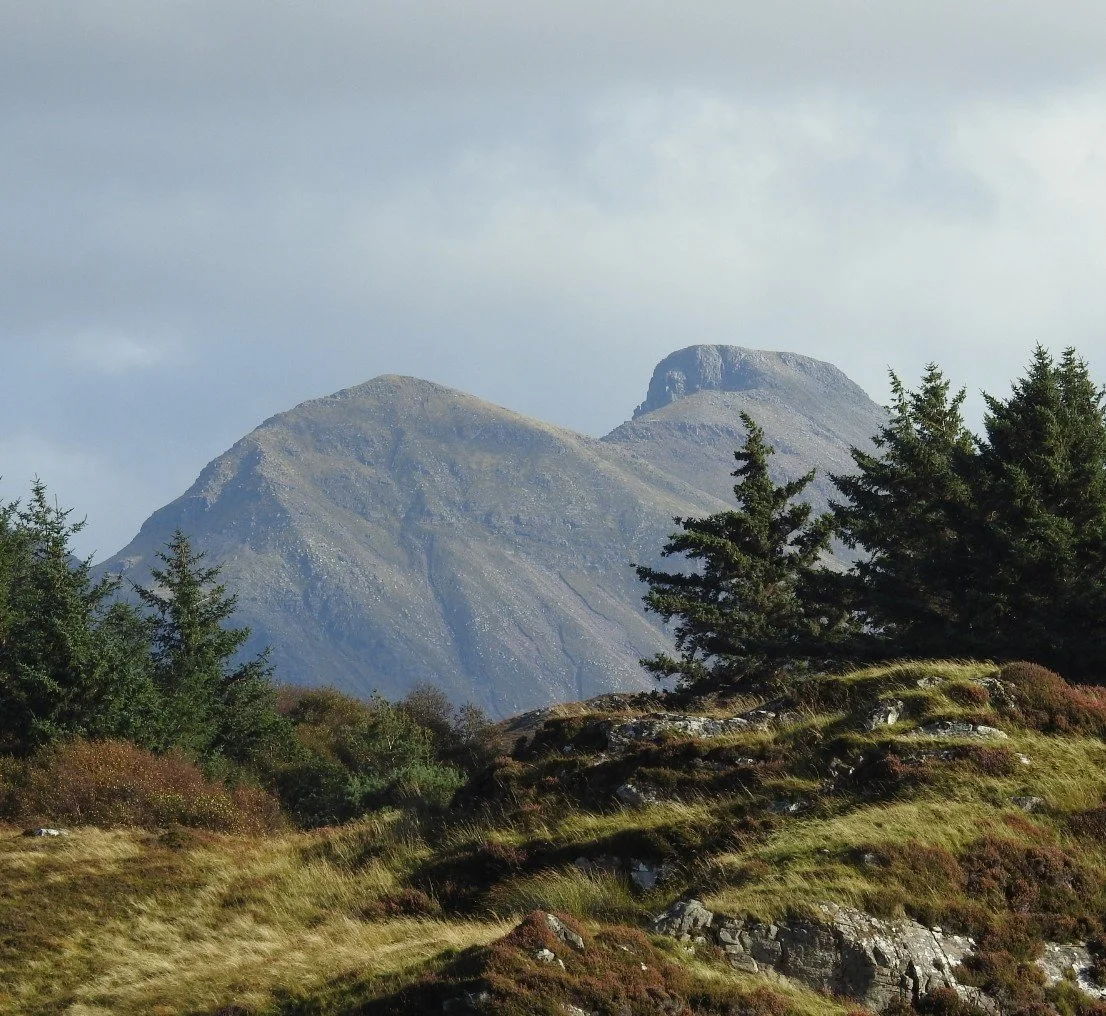 A landscape with a calm loch reflecting the sky, trees on the left, and Suilven mountain in the distance.