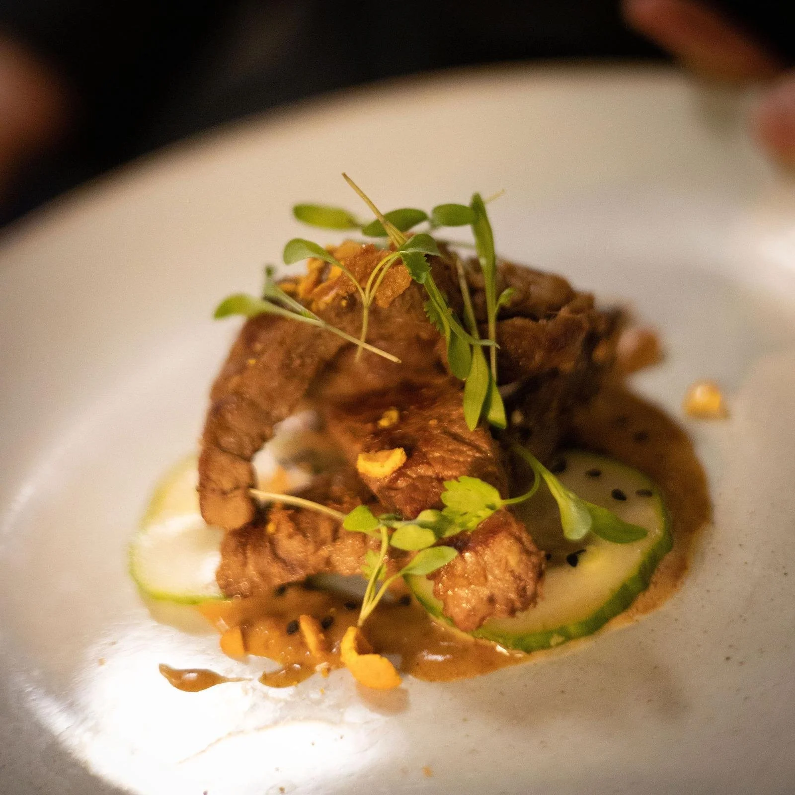 WhatsApp Image 2026-02-24 at 16.15.47 (1).jpeg