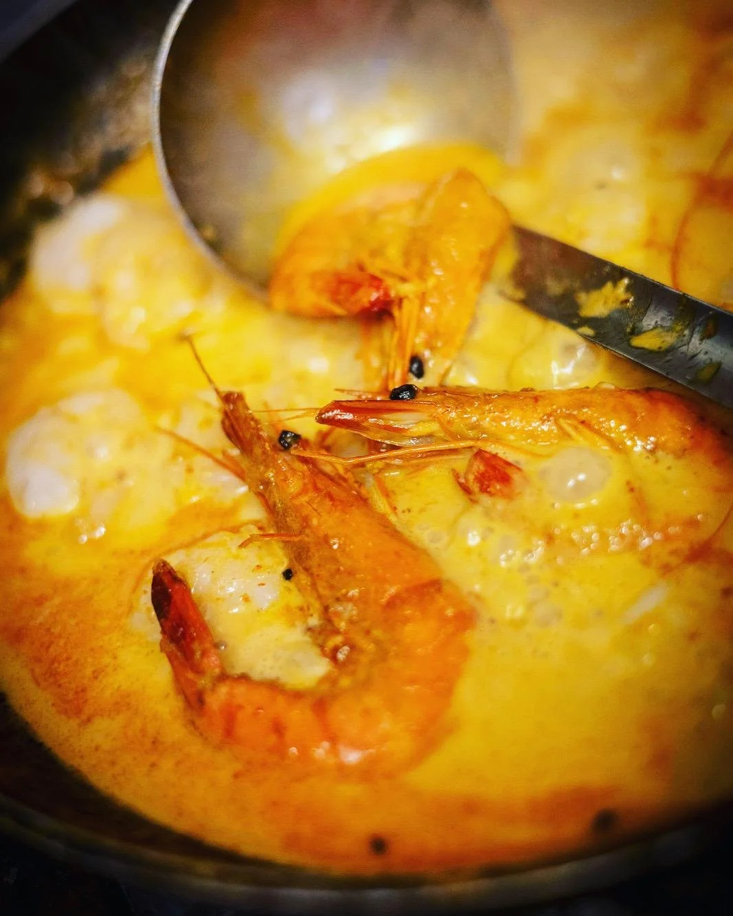 WhatsApp Image 2026-02-24 at 16.14.19.jpeg