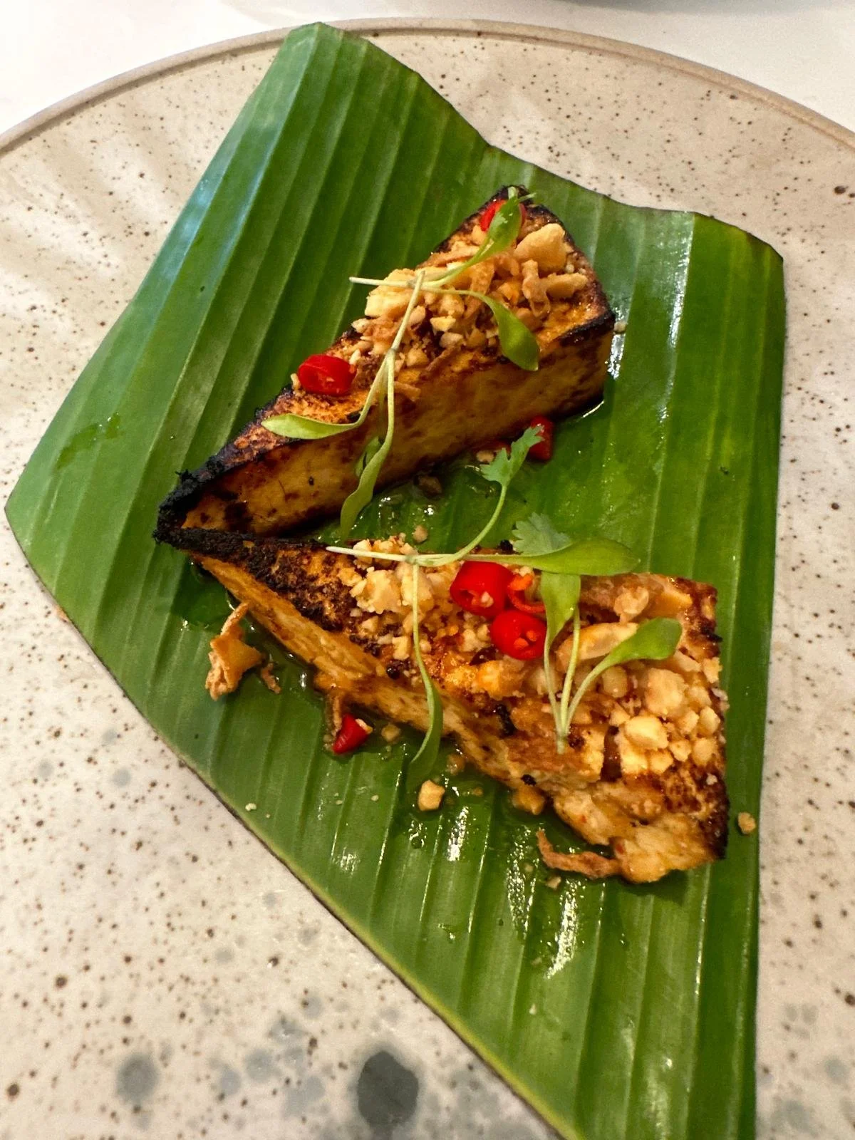 WhatsApp Image 2026-02-24 at 15.15.36.jpeg