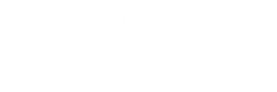 Logo en blanc avec un tigre stylisé au centre, entouré d'un cercle, avec le texte 'Giant Tiger Géant' à gauche et à droite.
