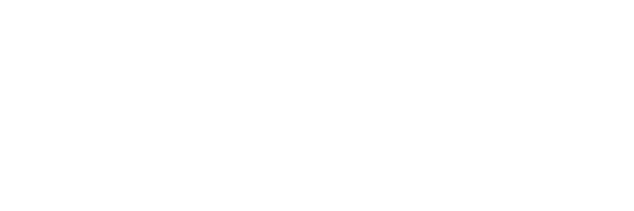 Logo blanc Spirit
