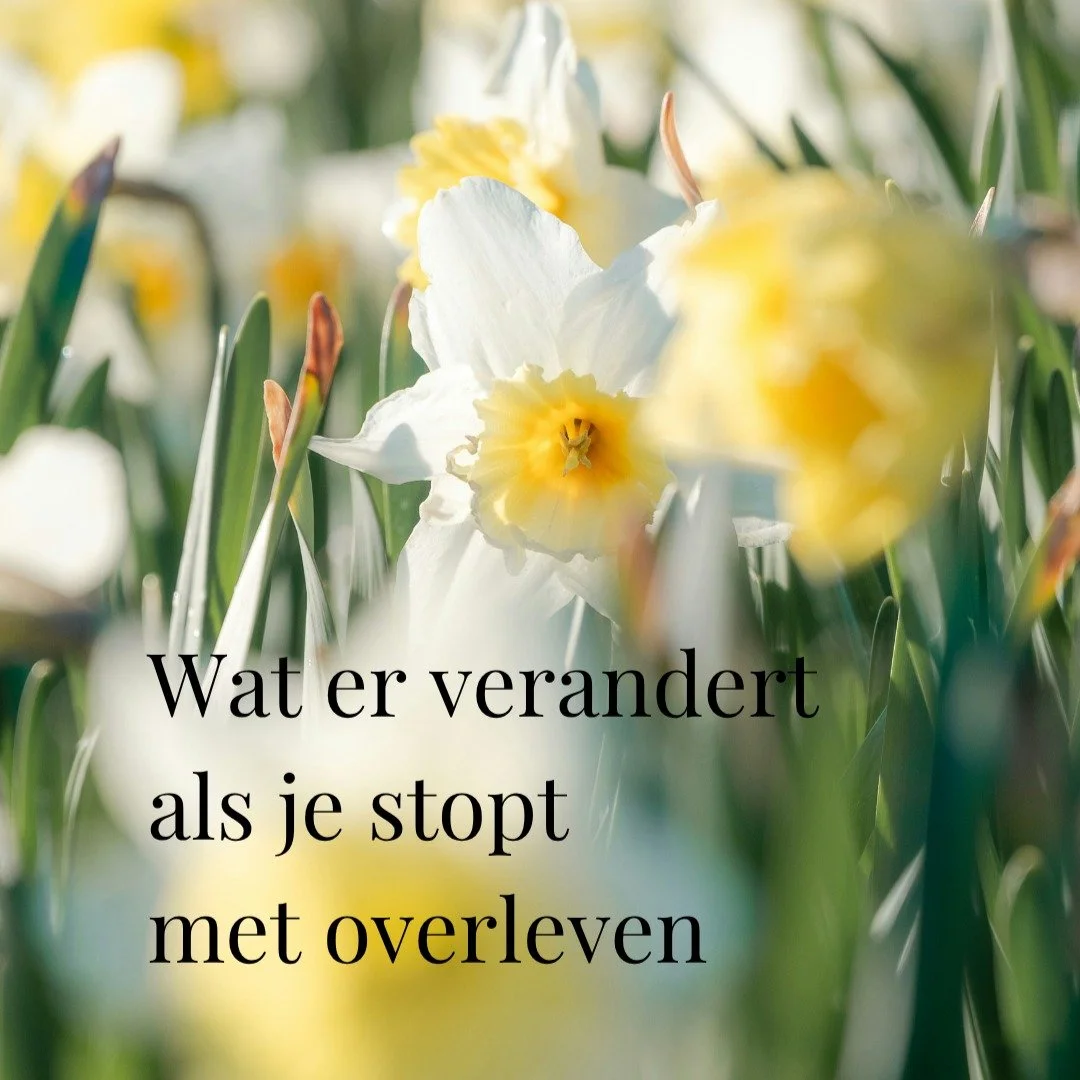 Misschien verlang je hier al langer naar.

Meer rust in je hoofd.
Meer ruimte in jezelf.
Meer keuzes die &eacute;cht kloppen.

Niet omdat alles ineens perfect wordt.

Maar omdat jij anders leert omgaan
met wat je draagt.

Dat je &rsquo;s ochtends wak