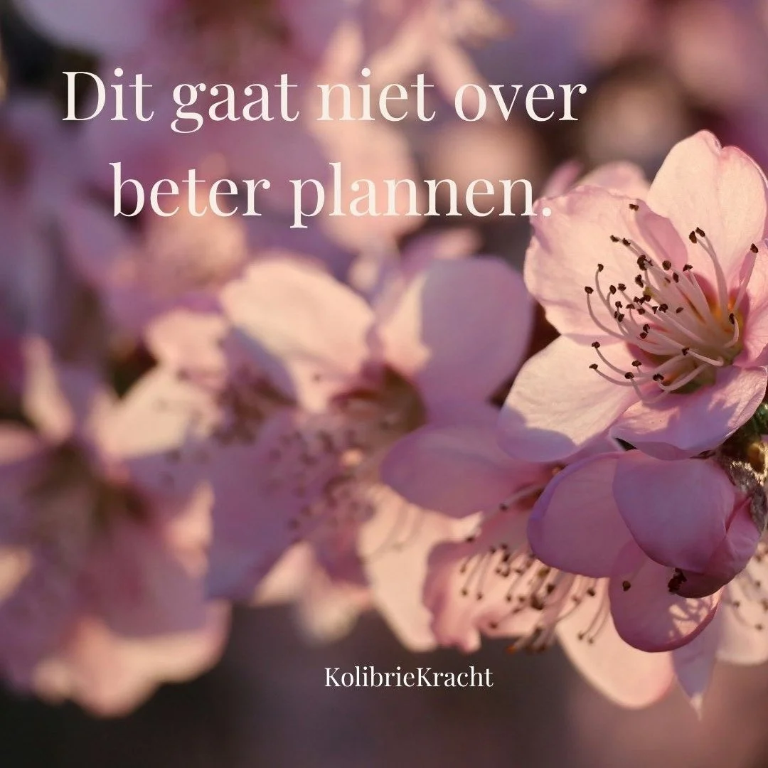 Je denkt dat je gewoon beter moet plannen.

Meer overzicht.
Meer grip.
Meer controle.

Maar ergens weet je al
dat dat niet is wat er speelt.

Want zelfs als het &ldquo;rustiger&rdquo; is&hellip;
voel je je nog steeds gespannen.

Alsof je altijd aan s