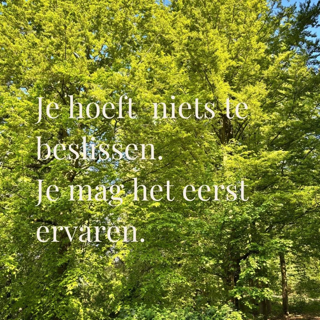 Soms wil je eerst voelen of iemand bij je past.
Of er vertrouwen is.
Of je je verhaal kwijt kunt zonder jezelf uit te leggen of te verdedigen.

In dit gesprek maken we rustig kennis met elkaar.

Je vertelt waar je op dit moment staat.
Wat er speelt i