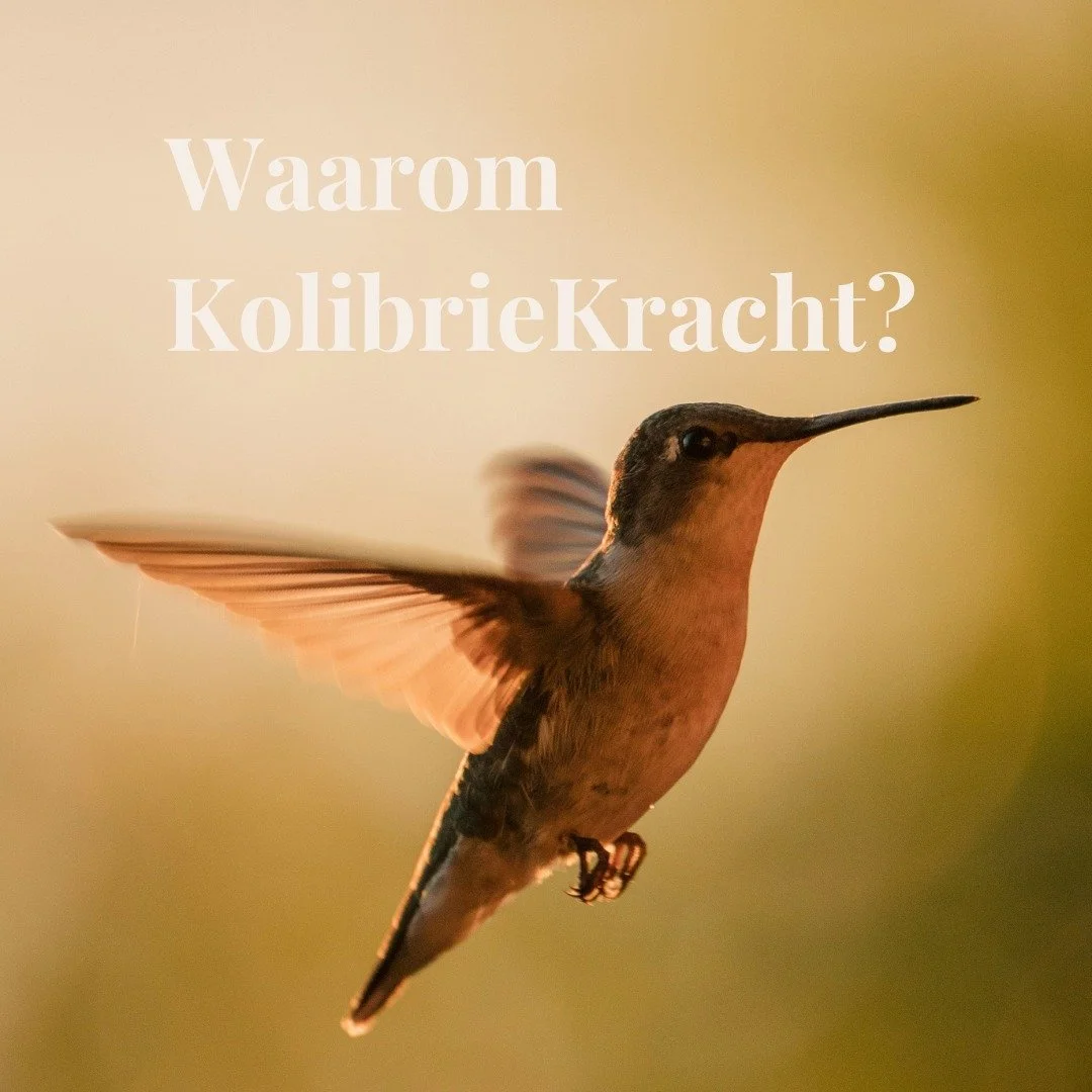 De kolibrie is klein, maar ongelooflijk krachtig. 
Ze kan als enige vogel achteruit vliegen. 
Niet om te blijven hangen in het verleden, 
maar om bewust koers te kiezen.

Net als jij.

Je draagt veel. Voor je gezin, je werk, je omgeving. 
En toch zit