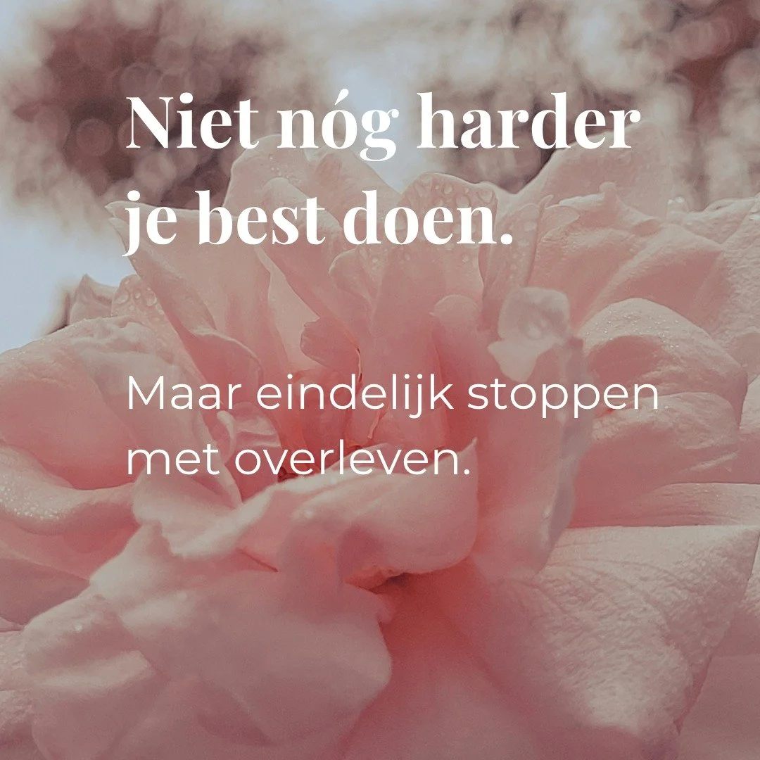 Sommige vrouwen functioneren z&oacute; lang op wilskracht,
dat ze niet meer weten hoe rust eigenlijk voelt.

Ze regelen.
Dragen.
Zorgen.
Gaan door.

Ook wanneer hun lichaam allang signalen afgeeft.

Niet omdat ze zwak zijn.
Maar omdat ze gewend zijn 