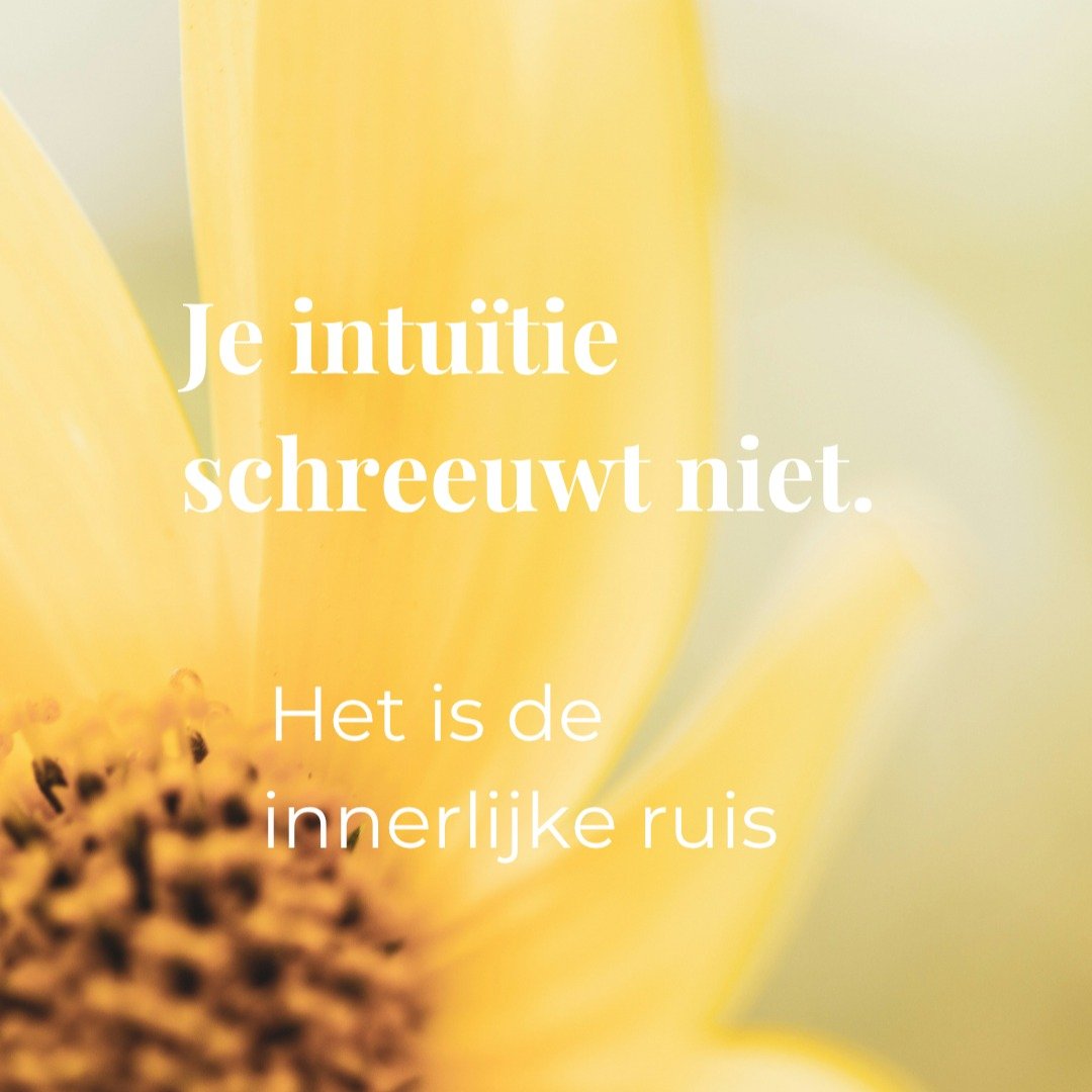 Innerlijke ruis is verraderlijk.

Omdat het vaak klinkt als verantwoordelijkheid.

Als doorzettingsvermogen.

Als sterk zijn.

Maar onder die constante stroom van gedachten zit vaak iets anders verborgen:

✨ vermoeidheid

✨ overbelasting

✨ het kwijt