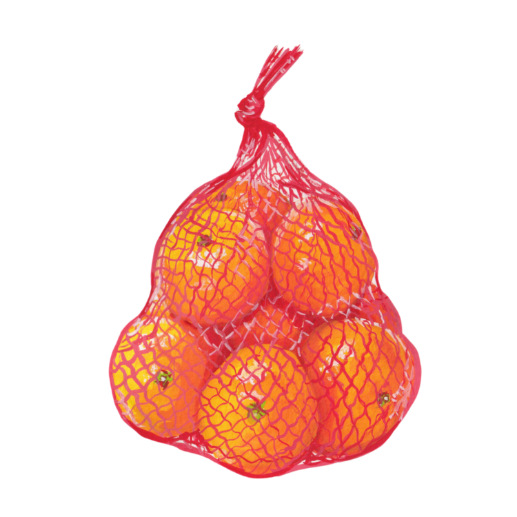 Studio Handog tangerines gouache painting.png