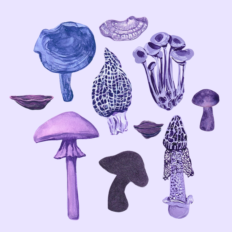 Studio Handog mushrooms.png