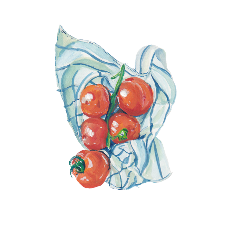 Studio Handog poster colors illustration (2).png