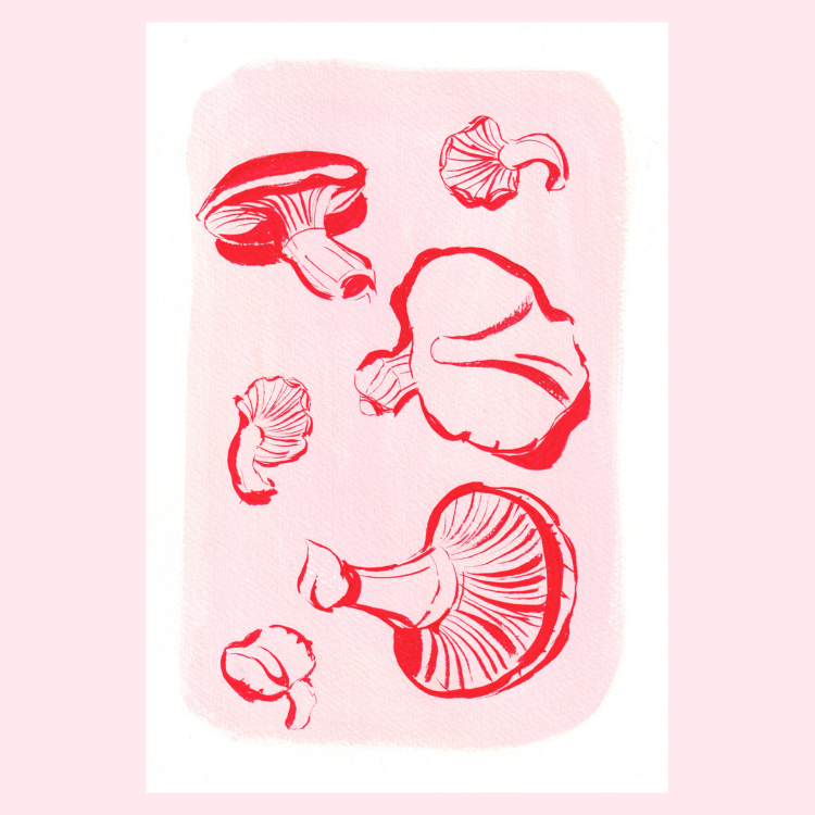 Studio Handog mushrooms (2).png