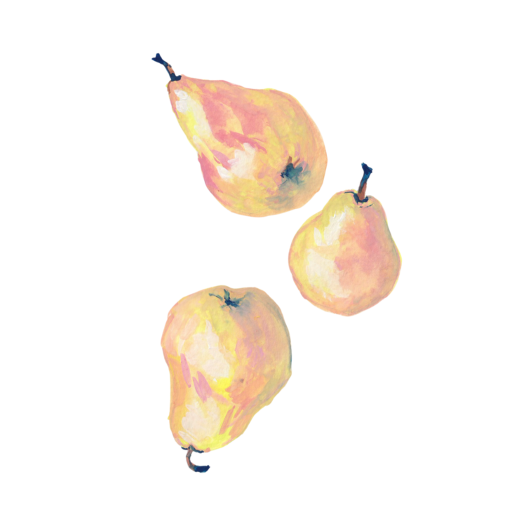 Studio Handog pears gouache painting.png