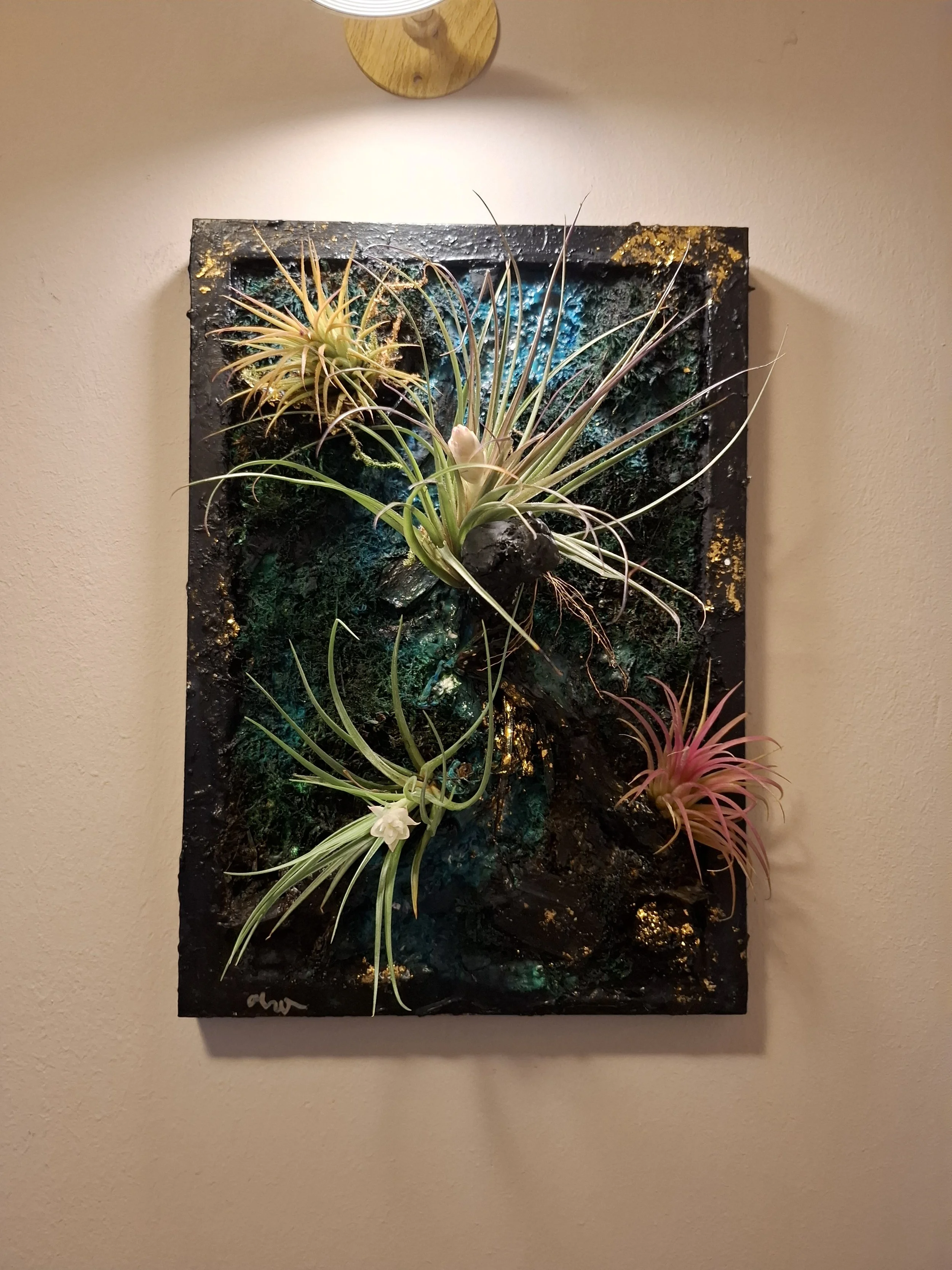 Kunstwerk mit Luftpflanzen auf einem dekorativen Hintergrund an einer Wand aufgehängt, beleuchtet von einer Wandlampe.