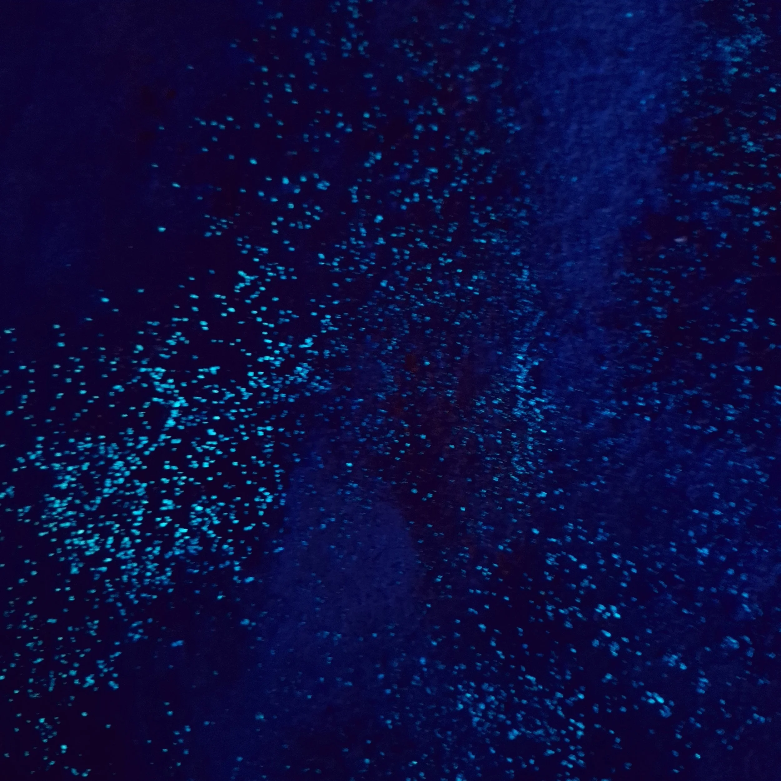 Das Bild zeigt bläulich leuchtende Punkte auf dunklem Hintergrund, die an Sternenhimmel oder leuchtende Partikel im Wasser erinnern.