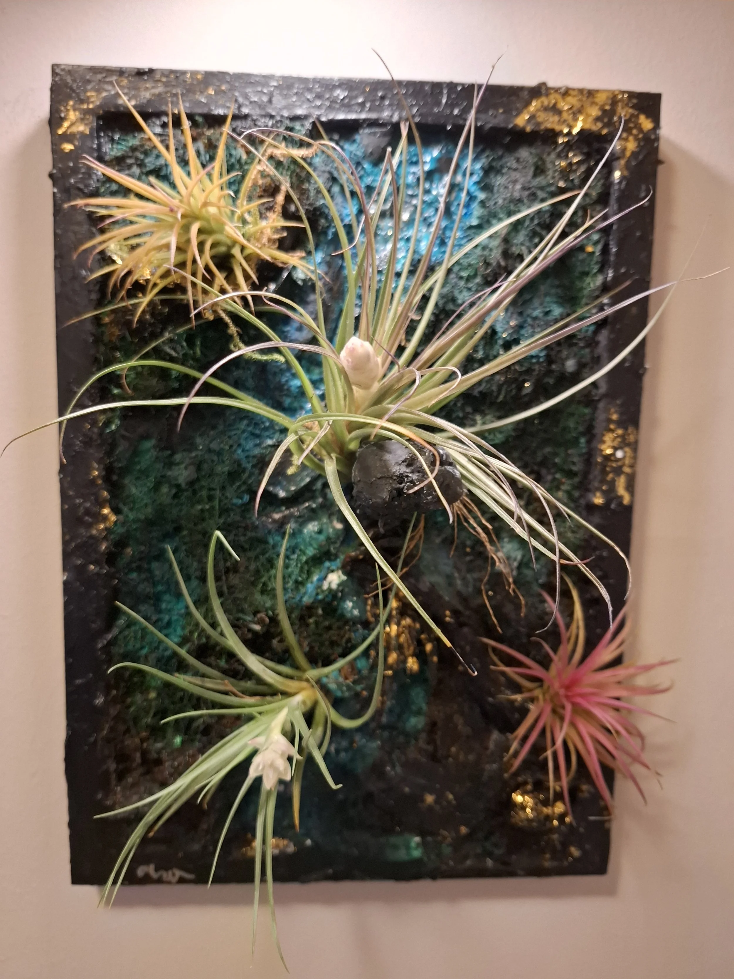 Kunstvoll gestaltetes Wandbild mit echten und künstlichen Pflanzen, darunter Tillandsien, in einem schwarzen Rahmen mit goldenen Akzenten, vertikal an der Wand montiert.