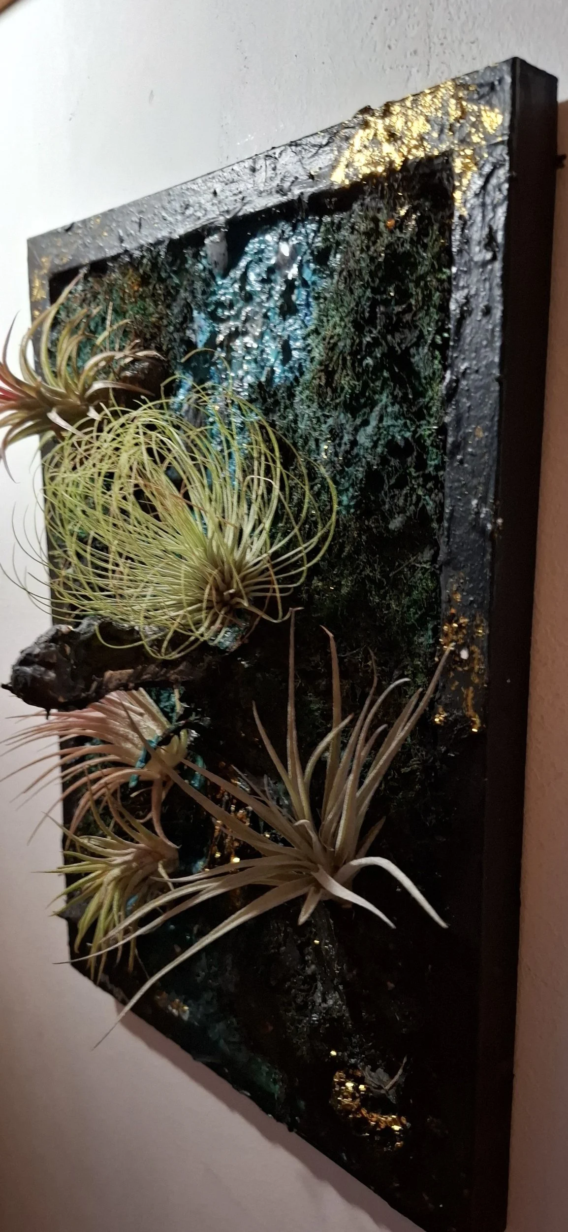 Kunstwerk mit getrockneten Tillandsien an einer dunklen, strukturierte Oberfläche, beleuchtet mit goldenen Lichtern.
