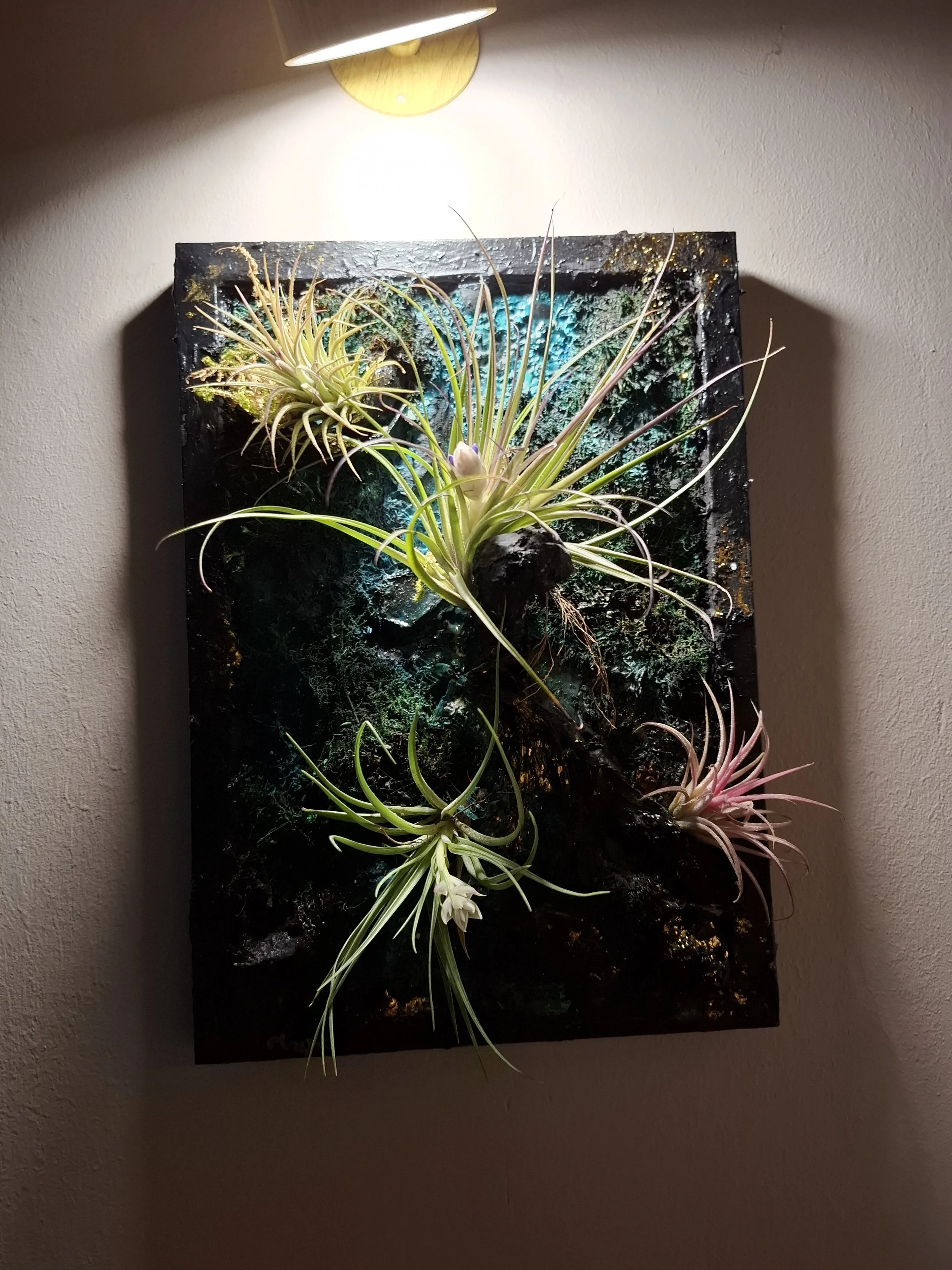 Hier ist ein Wandbild mit lebenden Pflanzen, die in einem Rahmen arrangiert sind, beleuchtet von einer Deckenlampe.