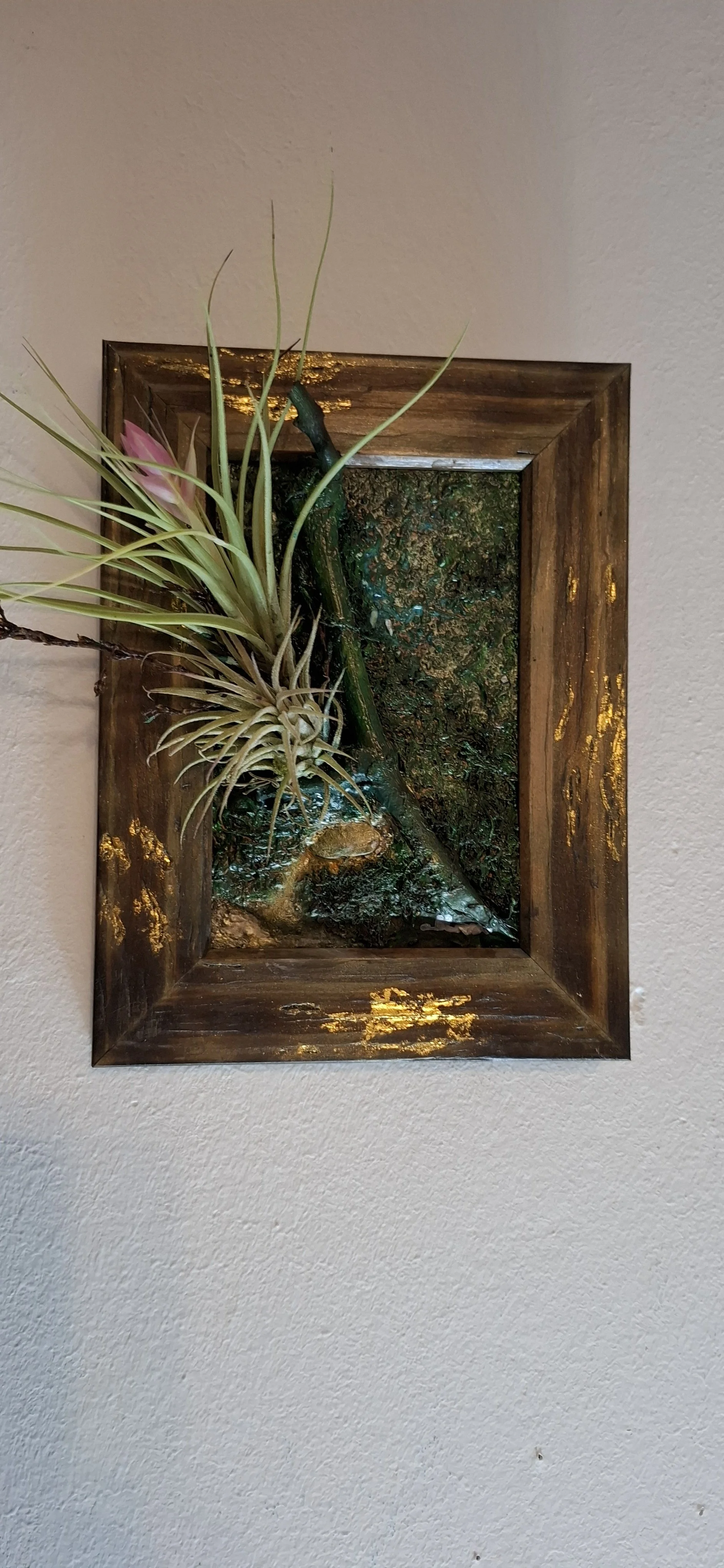 Kunstwerk mit Pflanzen und Holzrahmen an der Wand