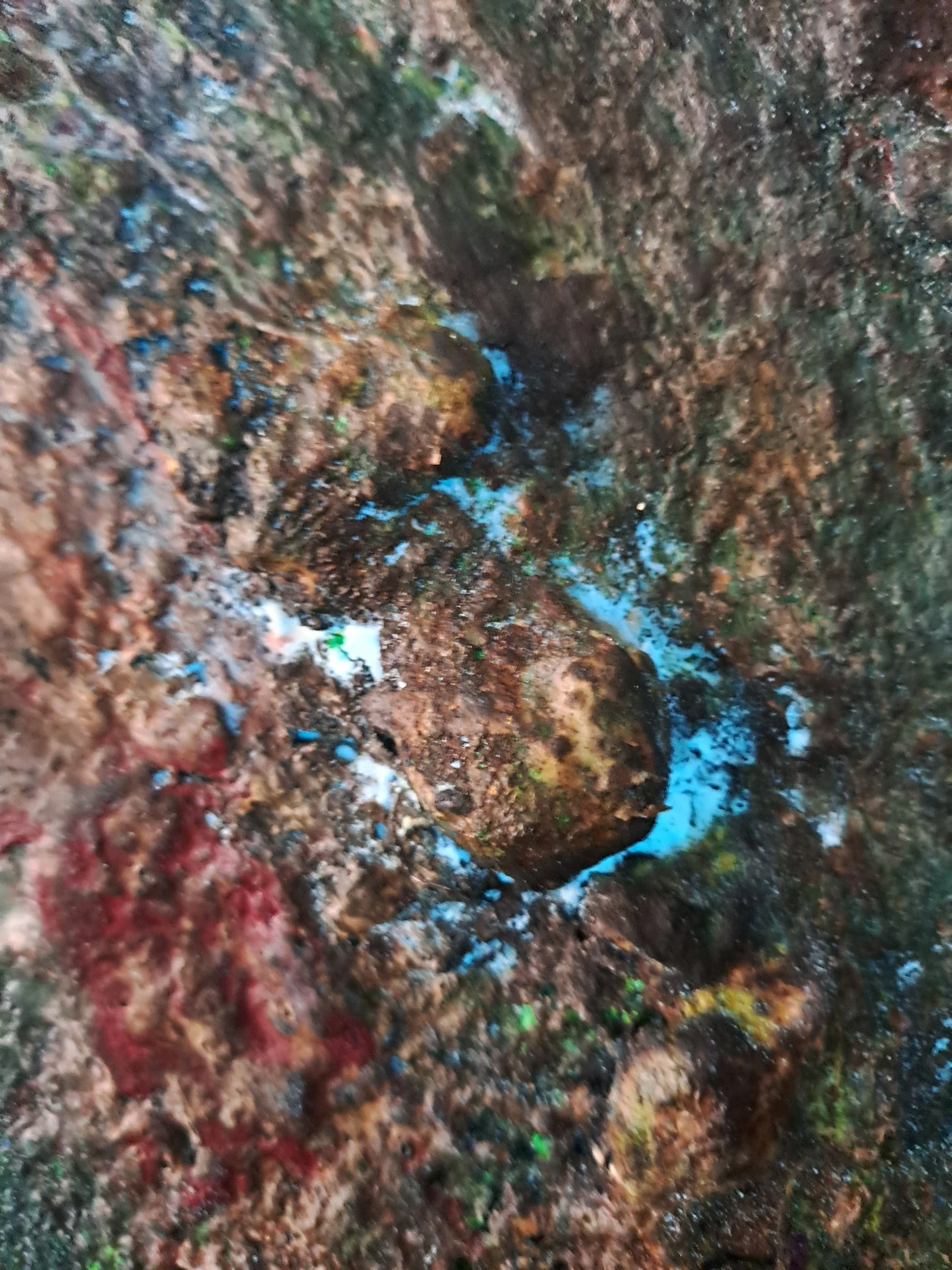 Ein Erdloch im feuchten, dunkelbraunen Boden, umgeben von Erde und kleinen Pflanzenresten.