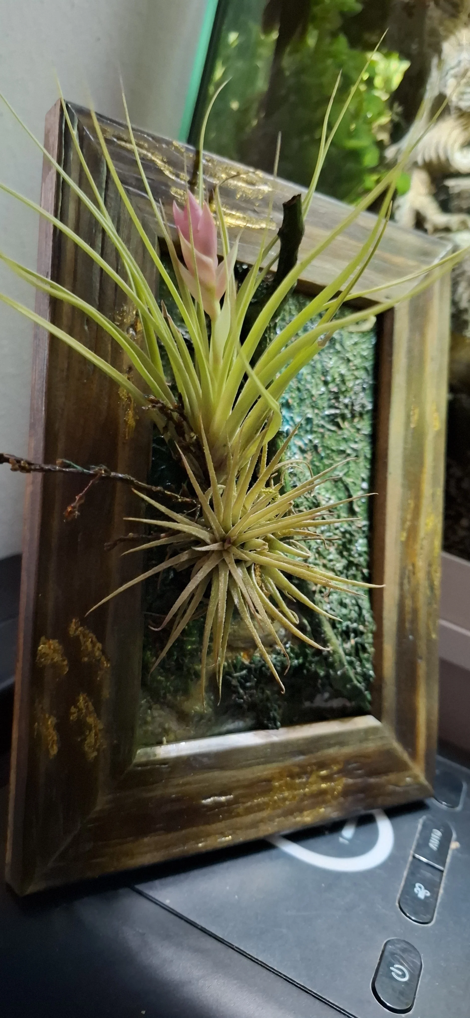 Kunstpflanze mit grünen Blättern und pinker Blüte, in einem Holzrahmen vor einer grünen Mauer, auf einem schwarzen Oberflächenstück