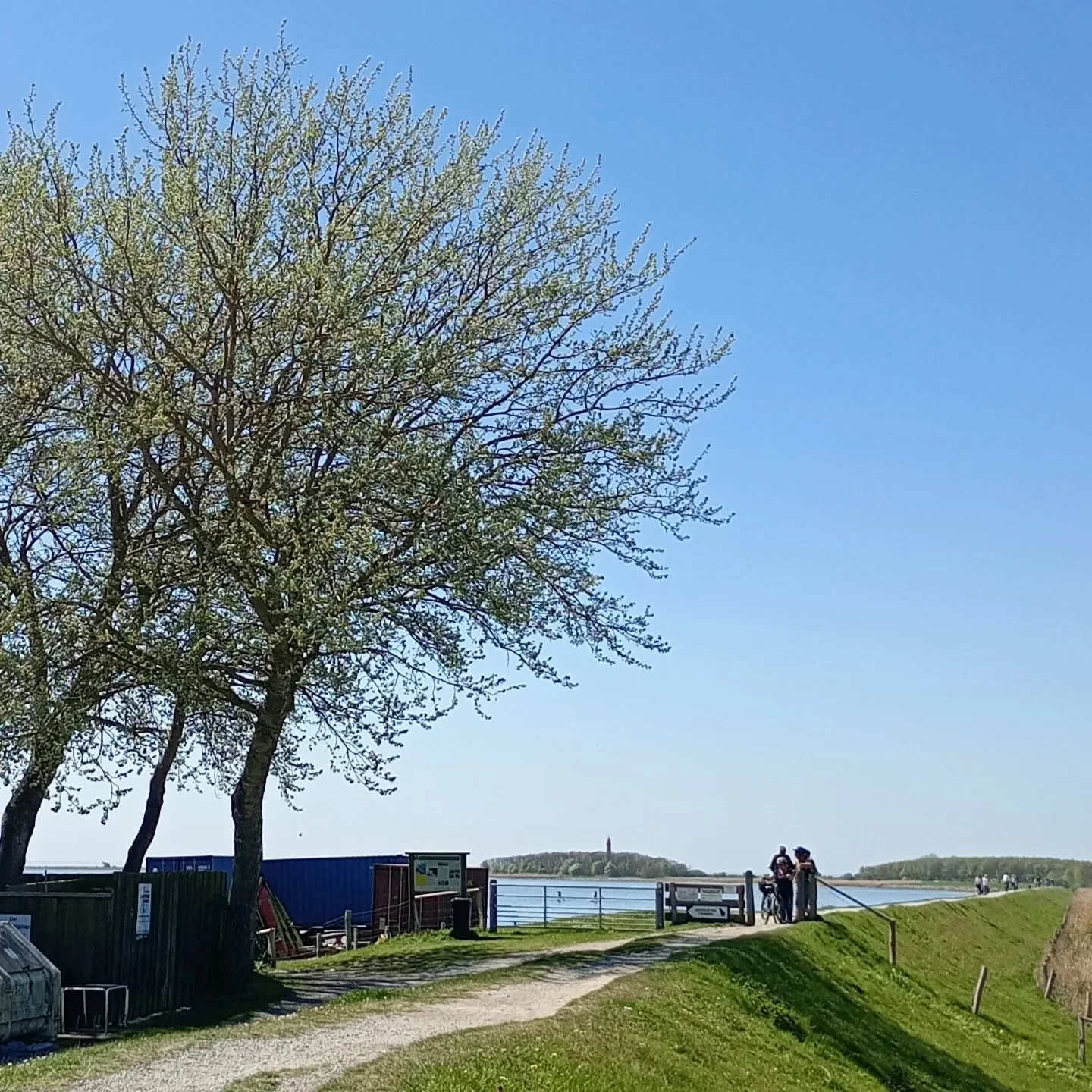 Fantastische Fr&uuml;hlingstage liegen hinter uns! Die Sonne lacht, der Raps bl&uuml;ht, die B&auml;ume werden gr&uuml;n und die Deich-Radwege belebter. 

Wann habt ihr das letzte Mal den idyllischen Weg vom Hafen Orth zum #ErlebnisLeuchtturmFluegge 