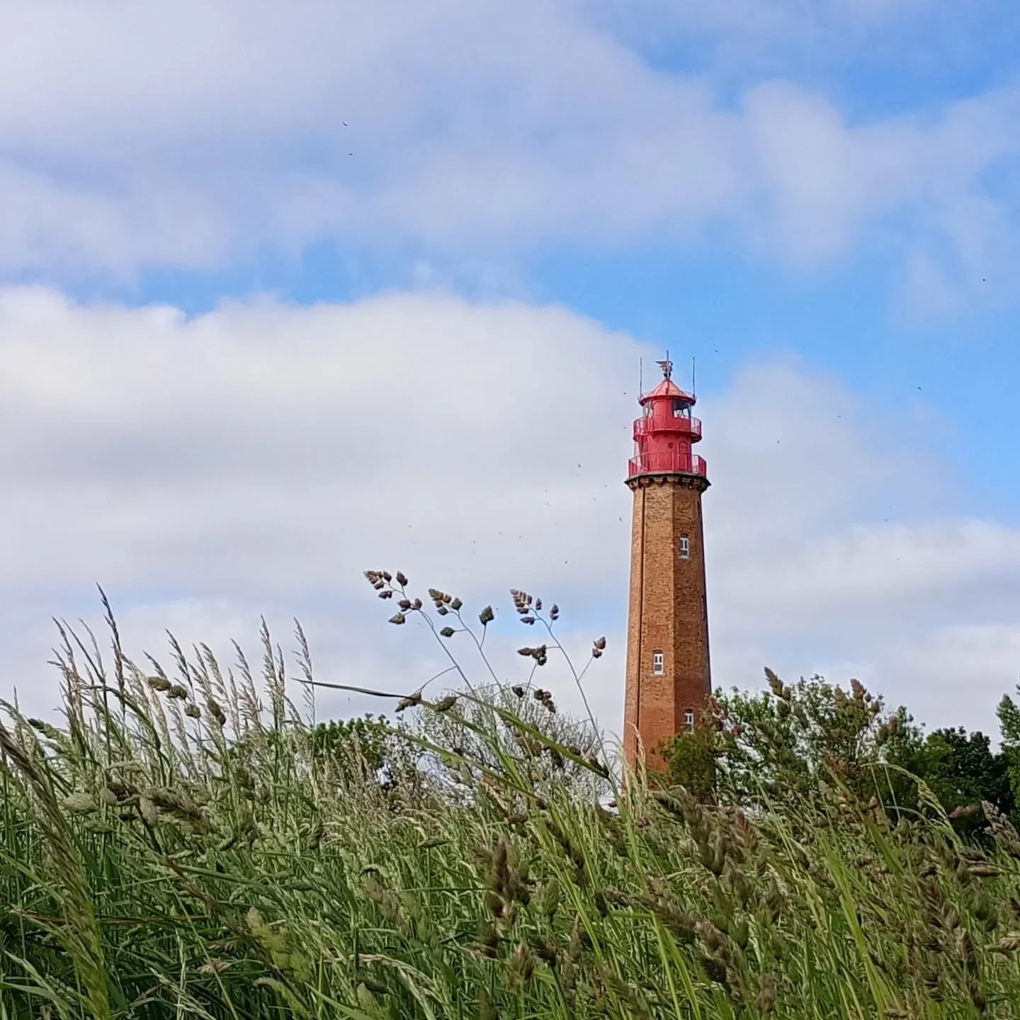 Hier k&uuml;sst Fehmarn den Himmel 😘

Erklimme  162 Stufen und freue dich auf einen einmaligen Ausblick &uuml;ber Fehmarn. Die Besichtigung ist m&ouml;glich von April bis Ende Oktober, dienstags bis sonntags von 10 bis 17 Uhr.  Montags ist Ruhetag.
