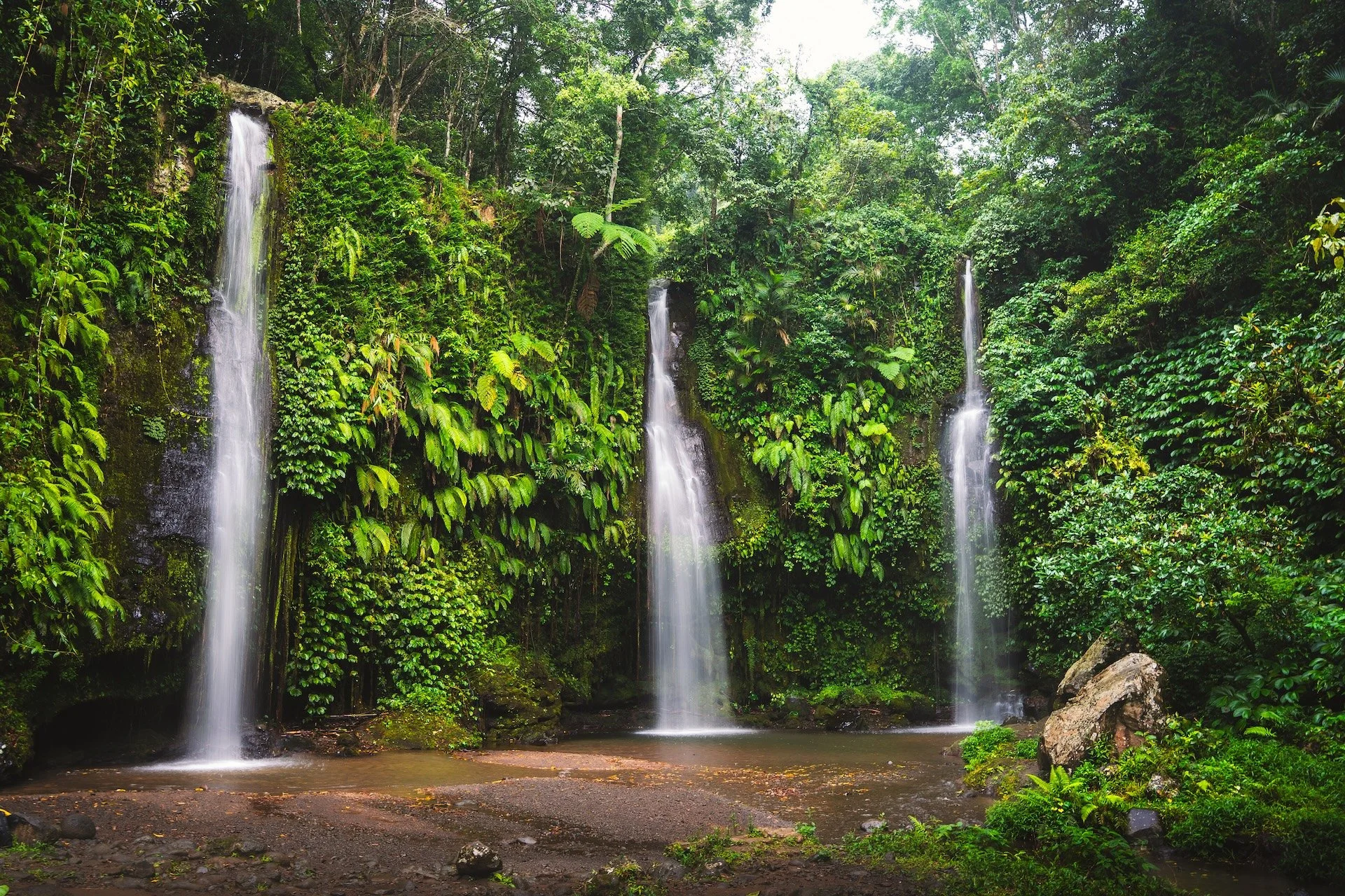 Twee kleine watervallen in een dichtbegroeid tropisch regenwoud.
