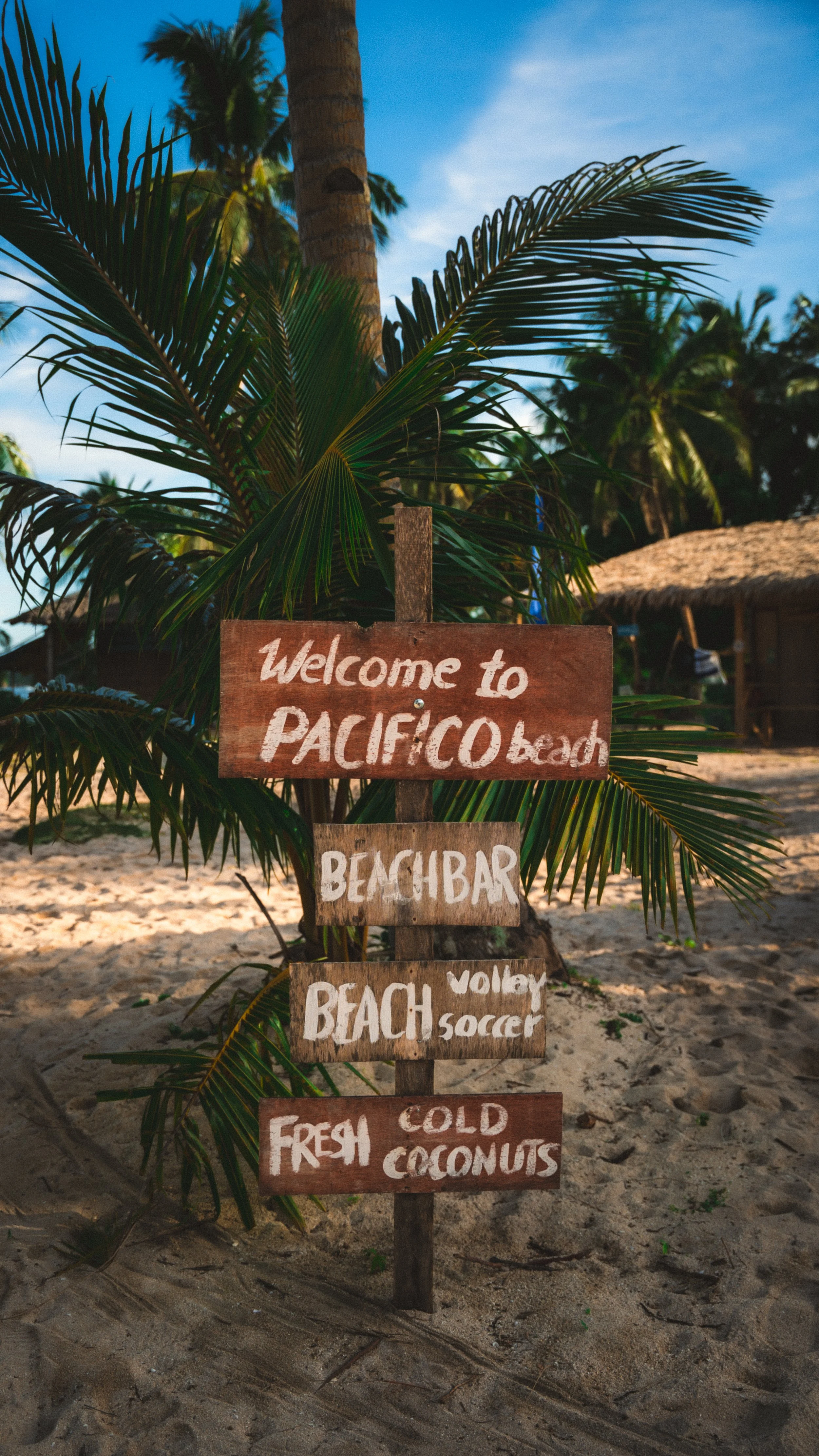 Een houten bord met verschillende aanwijzingen op een strand, omgeven door palmbomen. Grote letters verwelkomen bezoekers in Pacífico Beach en vermelden faciliteiten zoals een beachbar, volleybal, voetbal en verse kokosnoot.