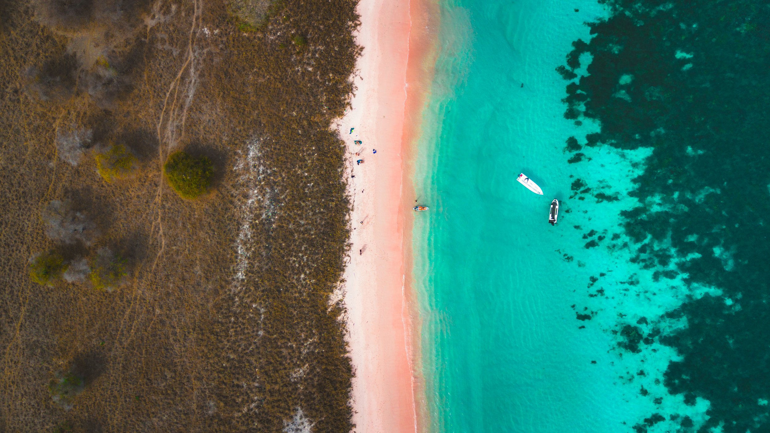 Luchtopname van een strand met paar parasols en ligstoelen, helder turquoise water en een bosachtige kustlijn.