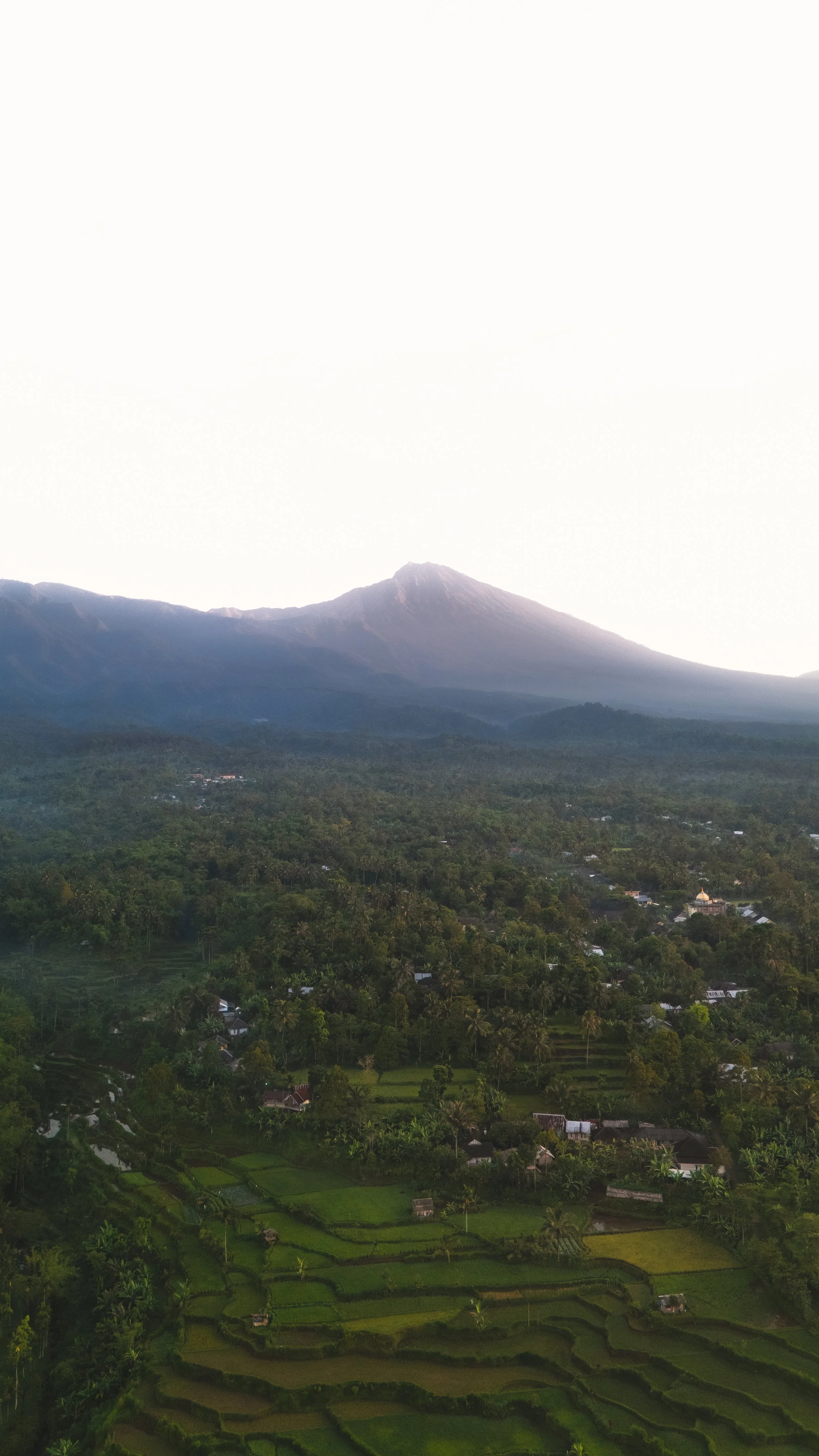 Landschap met een vulkaan op de achtergrond en groene rijstvelden en huizen op de voorgrond.