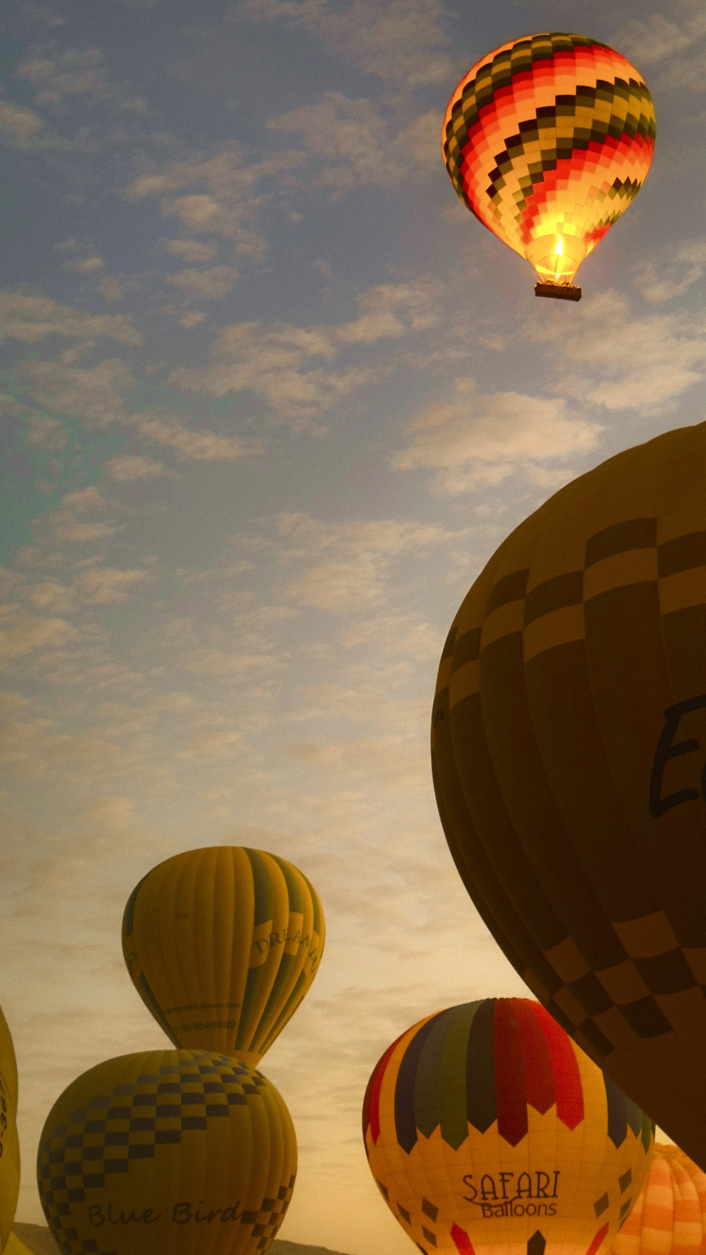 Verschillende gekleurde ballonnen zweven in de lucht tijdens zonsopgang of zonsondergang, met een bewolkte hemel op de achtergrond.
