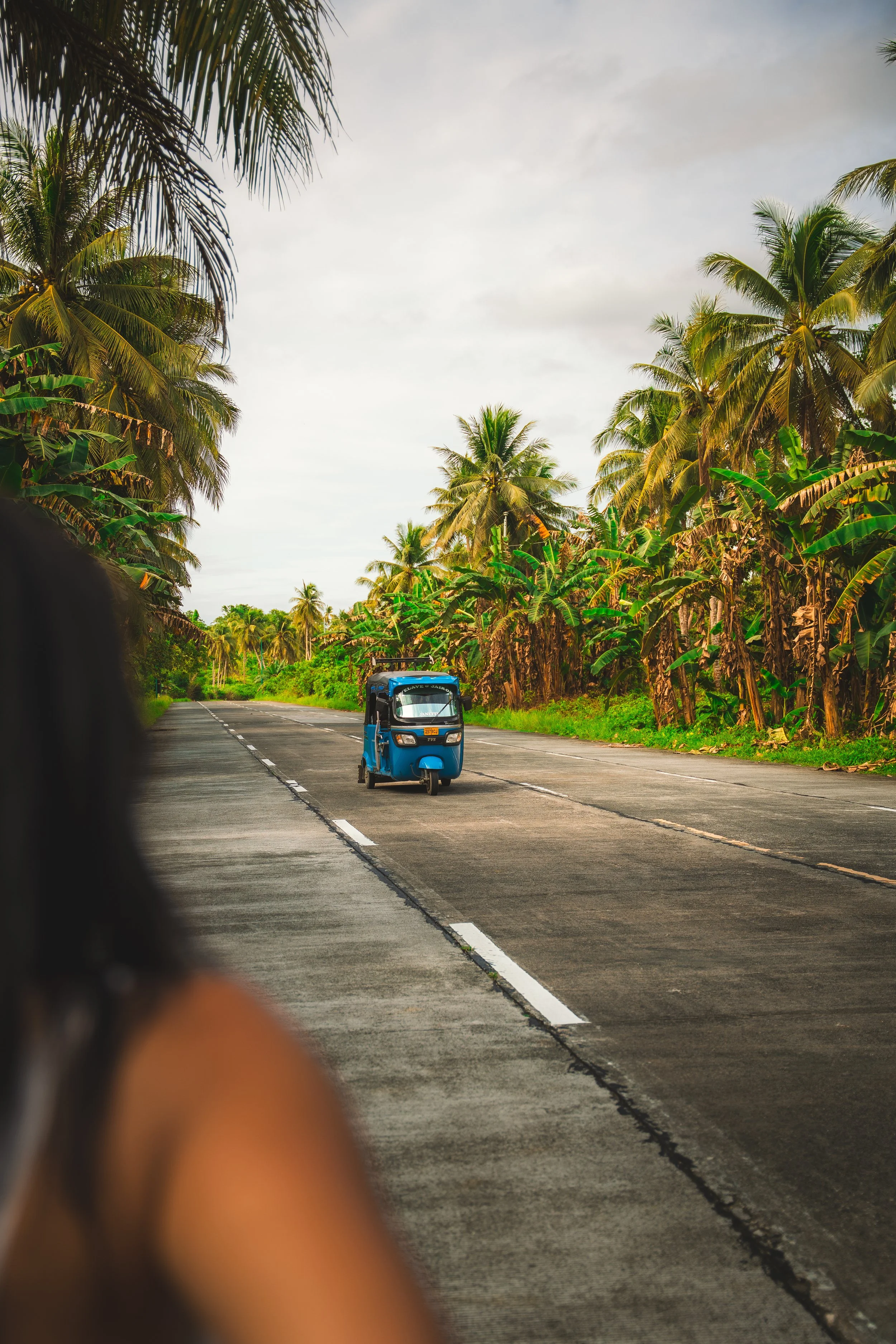 Een blauwe tuktuk rijdt over een weg door een tropisch landschap met palmbomen en groene planten aan weerszijden.