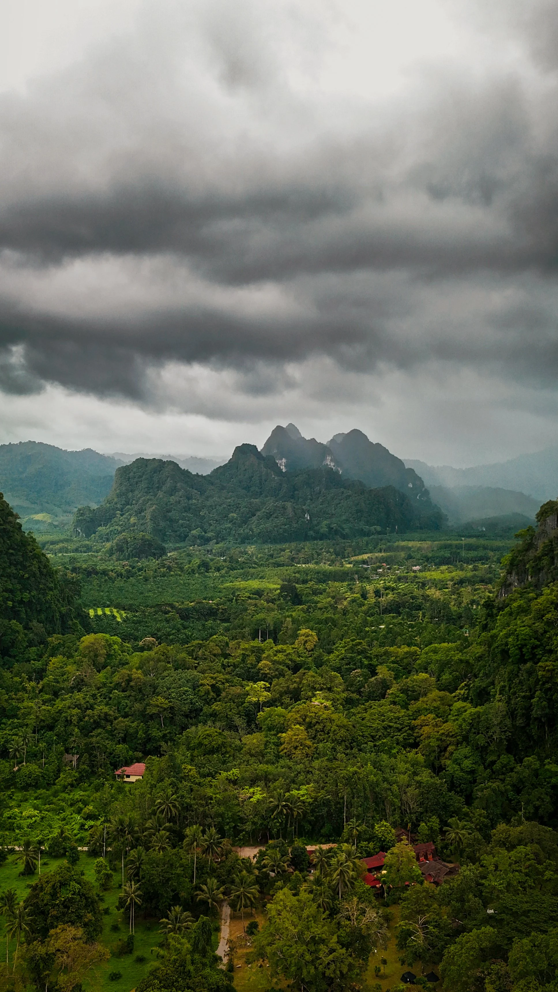 Uitgestrekt groen landschap met bergachtige achtergrond en donkere wolken boven de horizon.