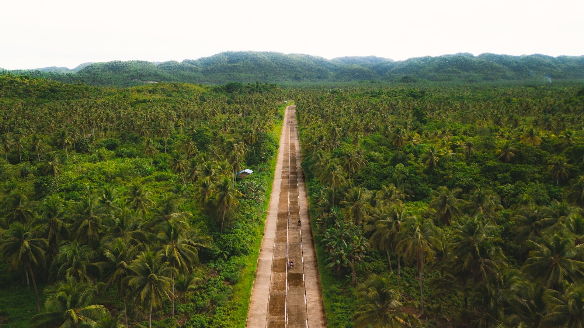 Lange weg door een weelderige groene jungle met palmbomen, omgeven door heuvels op de achtergrond, onder een bewolkte hemel.