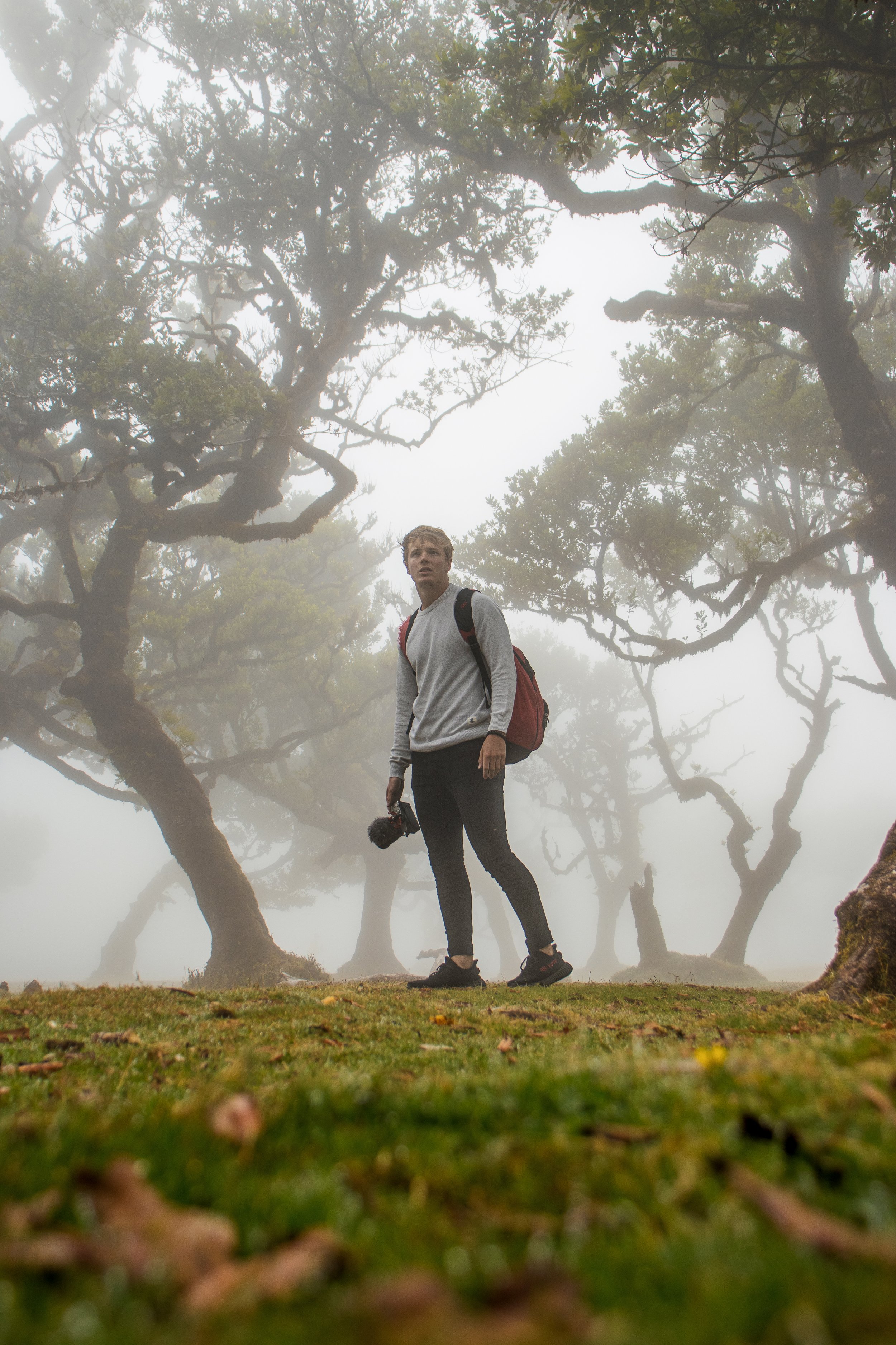 Een jonge man met een rugzak en een camera in een mistige bosomgeving, omringd door kronkelende bomen.