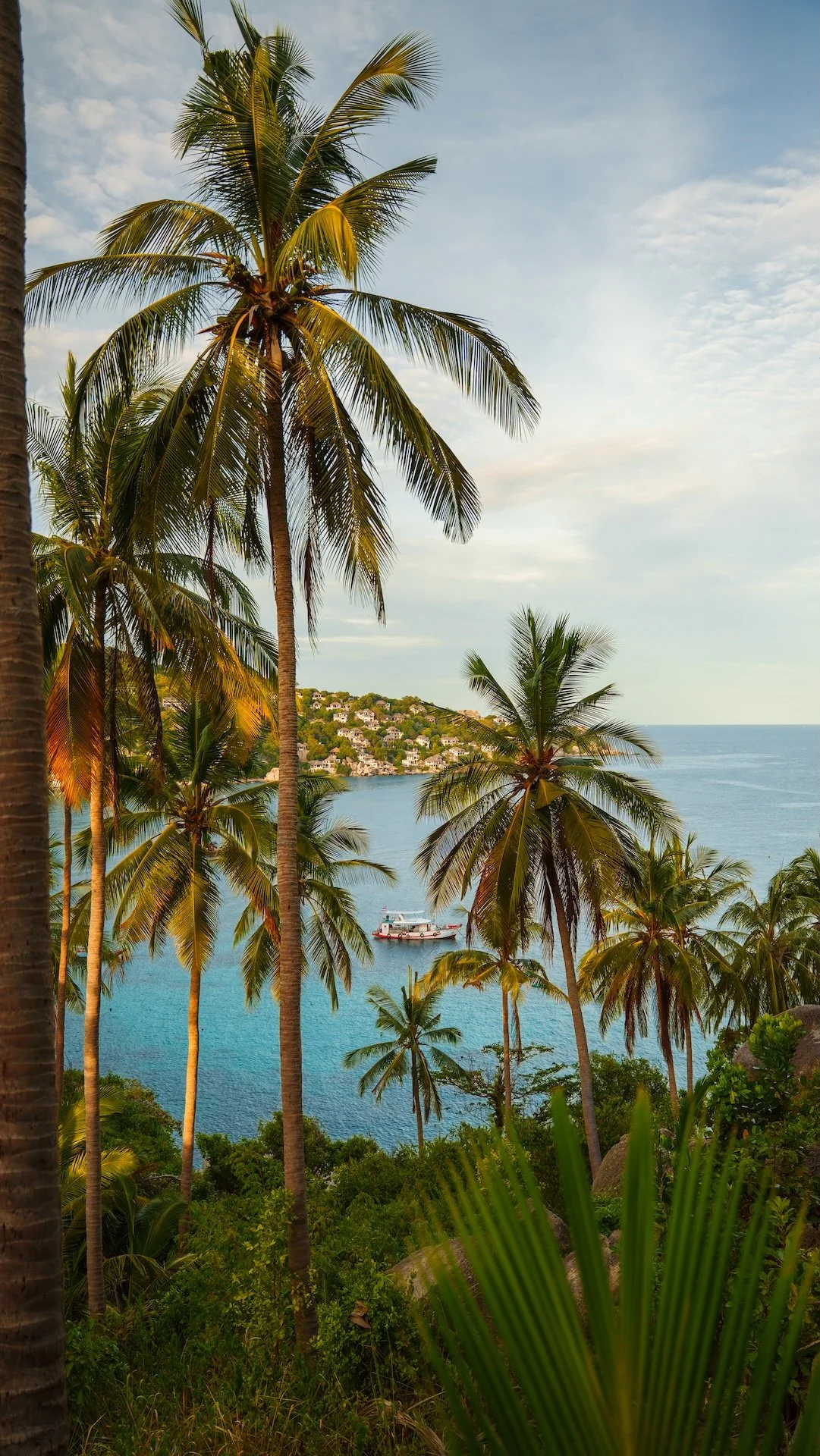 Tropische scene met palmbomen, uitzicht op een rivier met een boot, en een kust met huizen op de heuvels in de verte.