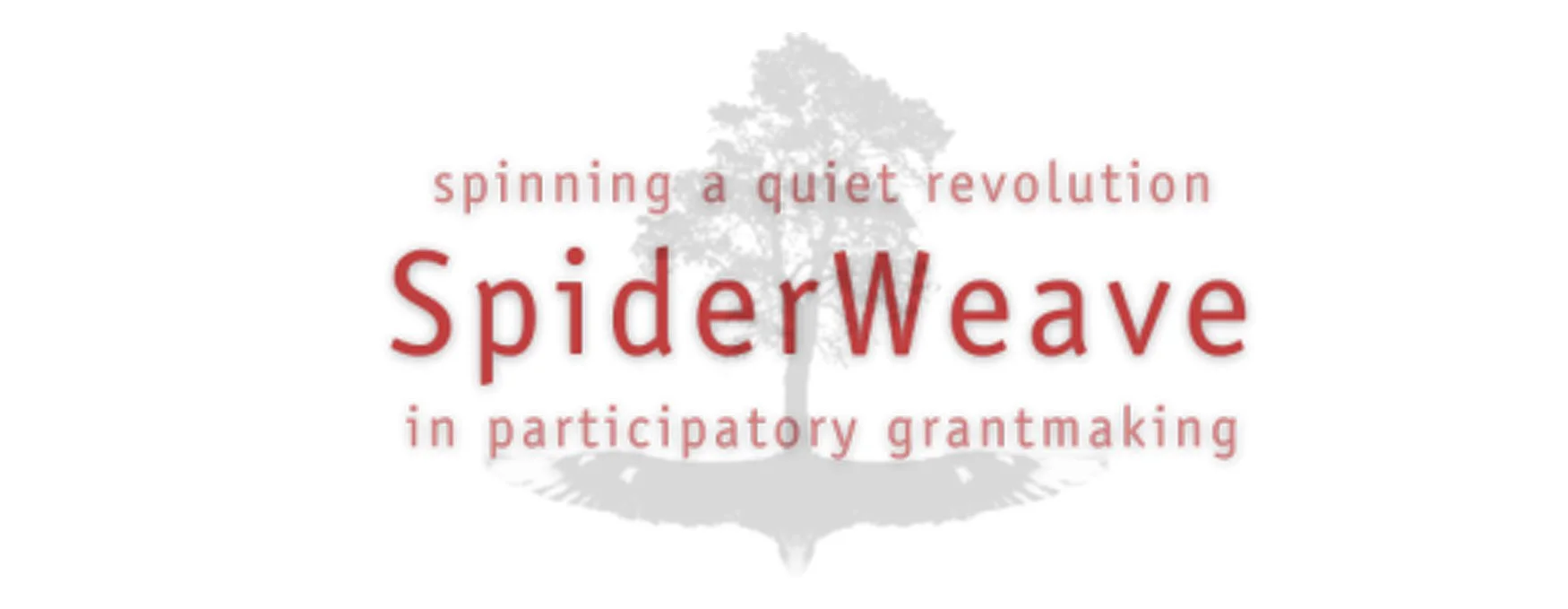 Text in red and pink reads 'spinning a quiet revolution SpiderWeave in participatory grantmaking' with a faint gray tree in the background.