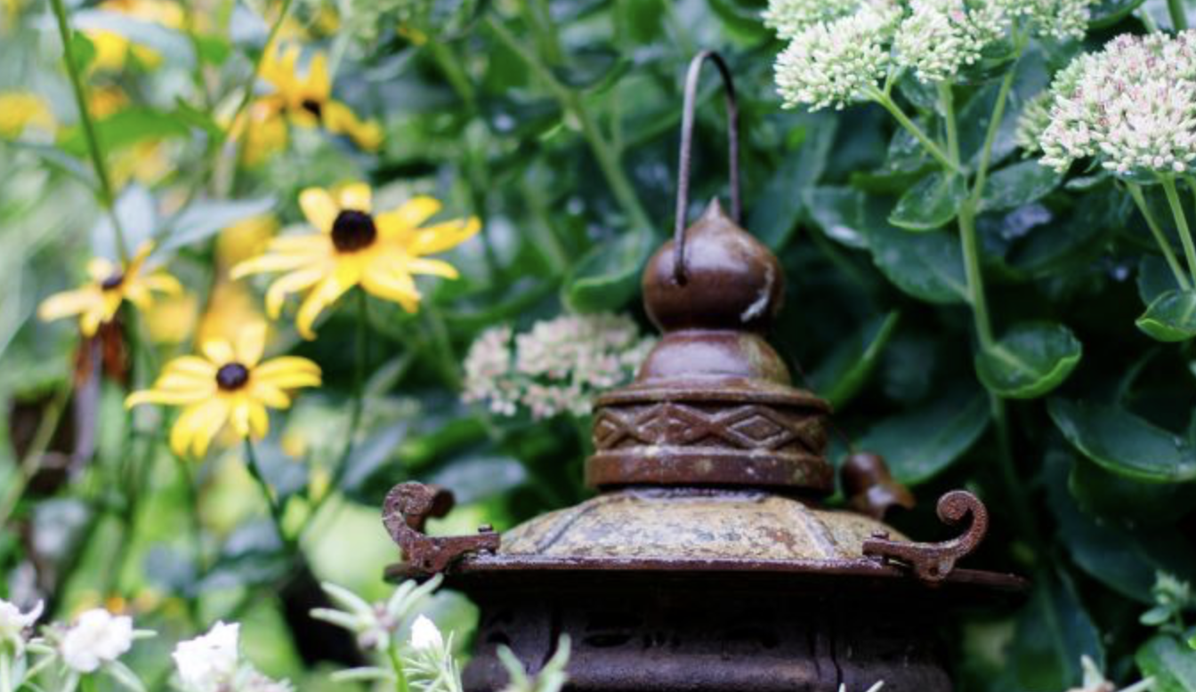 Moving Towards Freedom with Love and Wisdom: An Insight Meditation Retreat