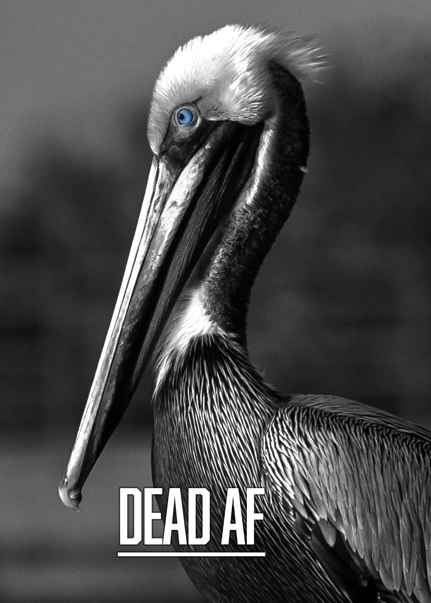 Dead AF_Pelican_Abolition Font copy.jpg