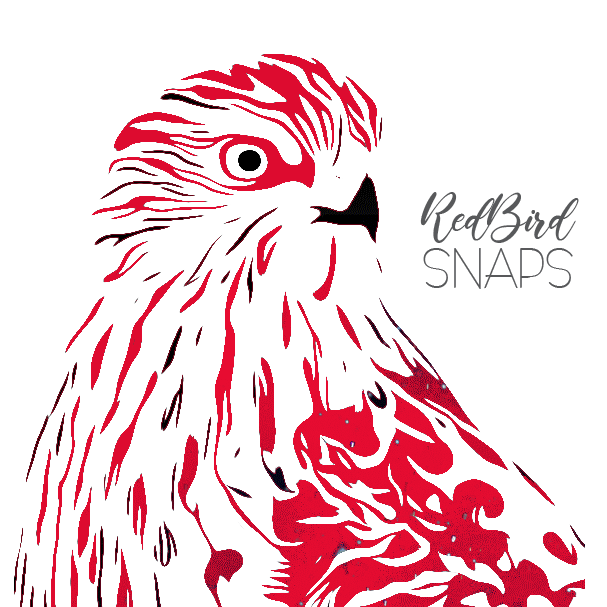 RedBirdSnaps