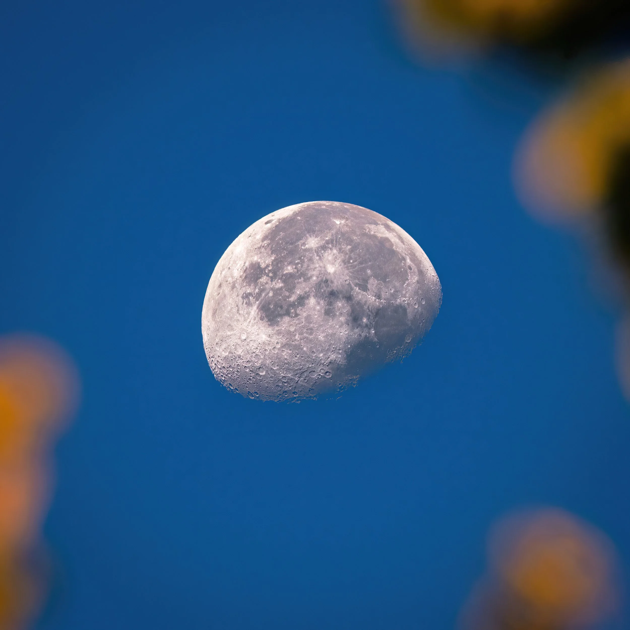 Moon_Hays KS_101422-DeNoiseAI-low-light.jpg