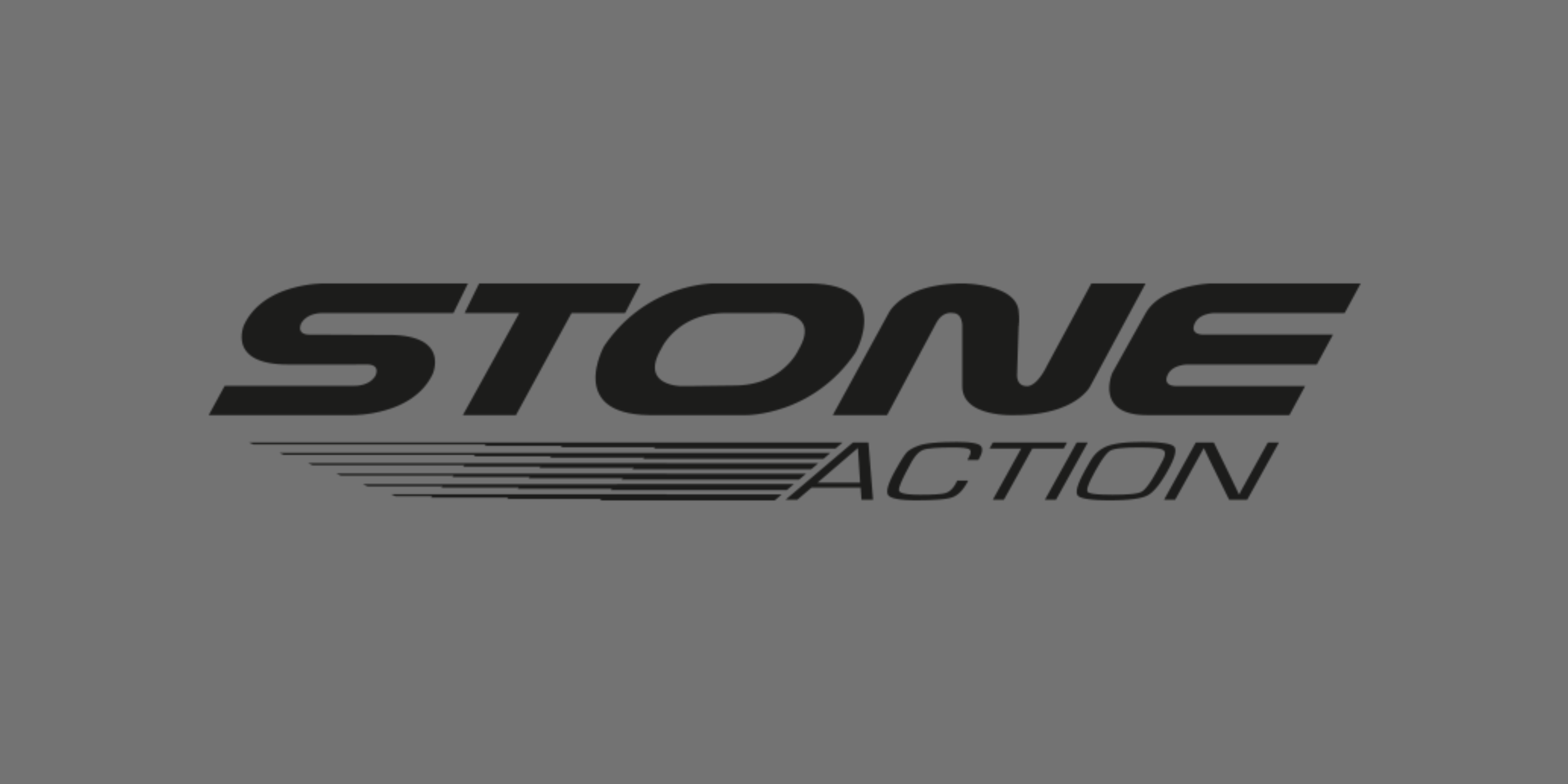 Logo for Stone Action with black text on gray background